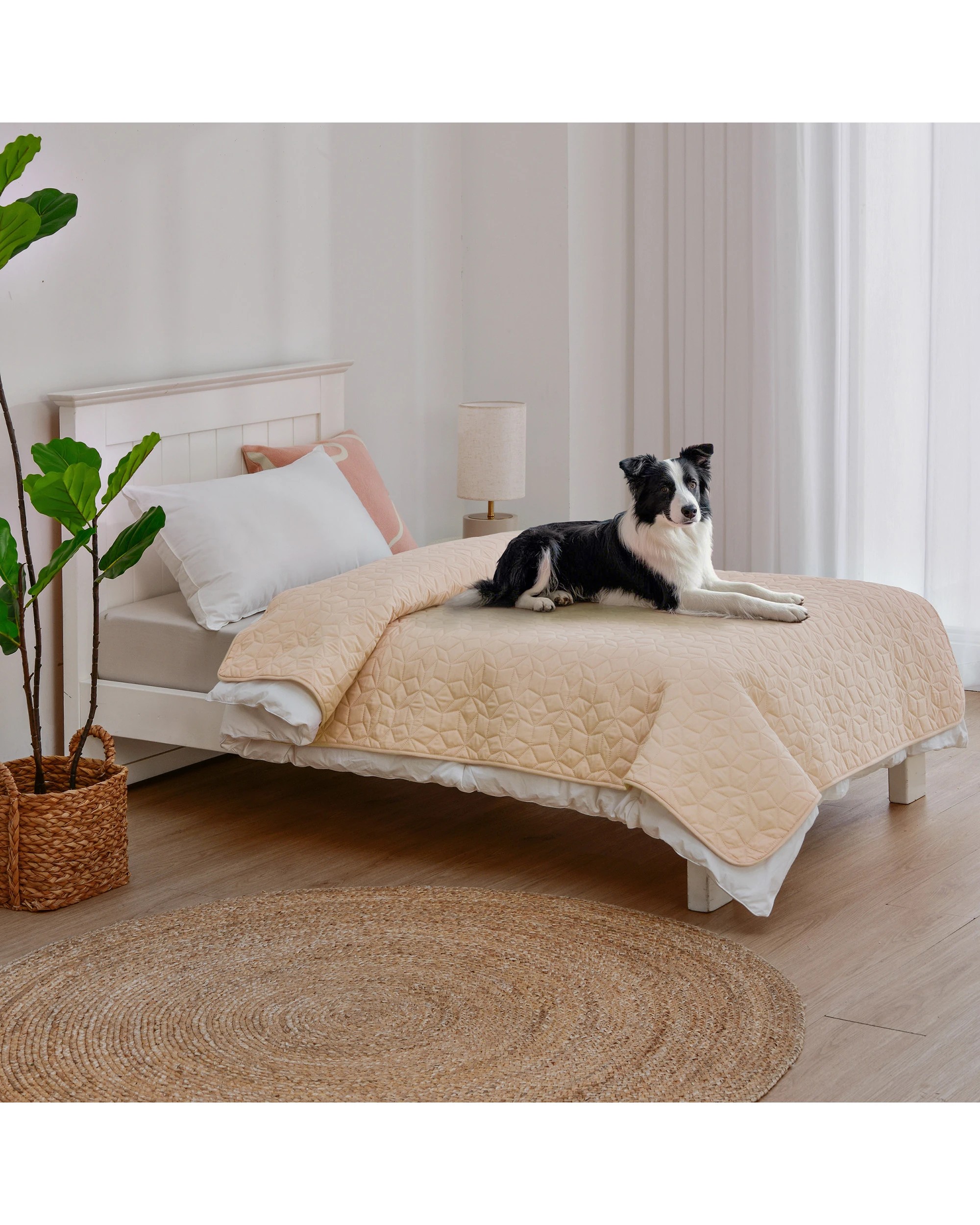 1 Charlie's Sofur Waterproof Dog Bed Cover Protector Single/King Single 132x208cm - King Single Bed - Oat, 1 of 10