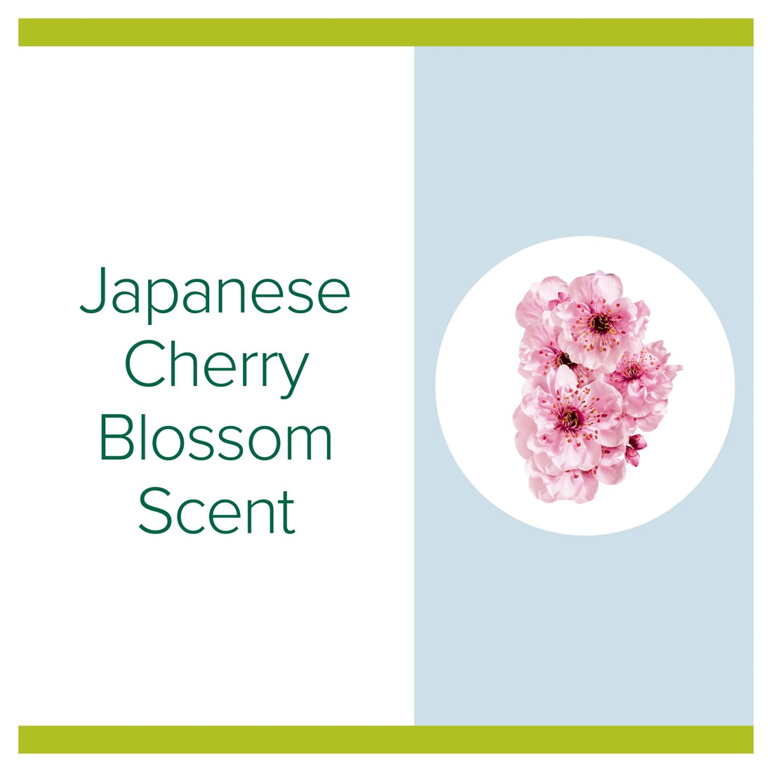 4 Palmolive Hand Sanitiser 48ml - Japanese Cherry Blossom, 4 of 8