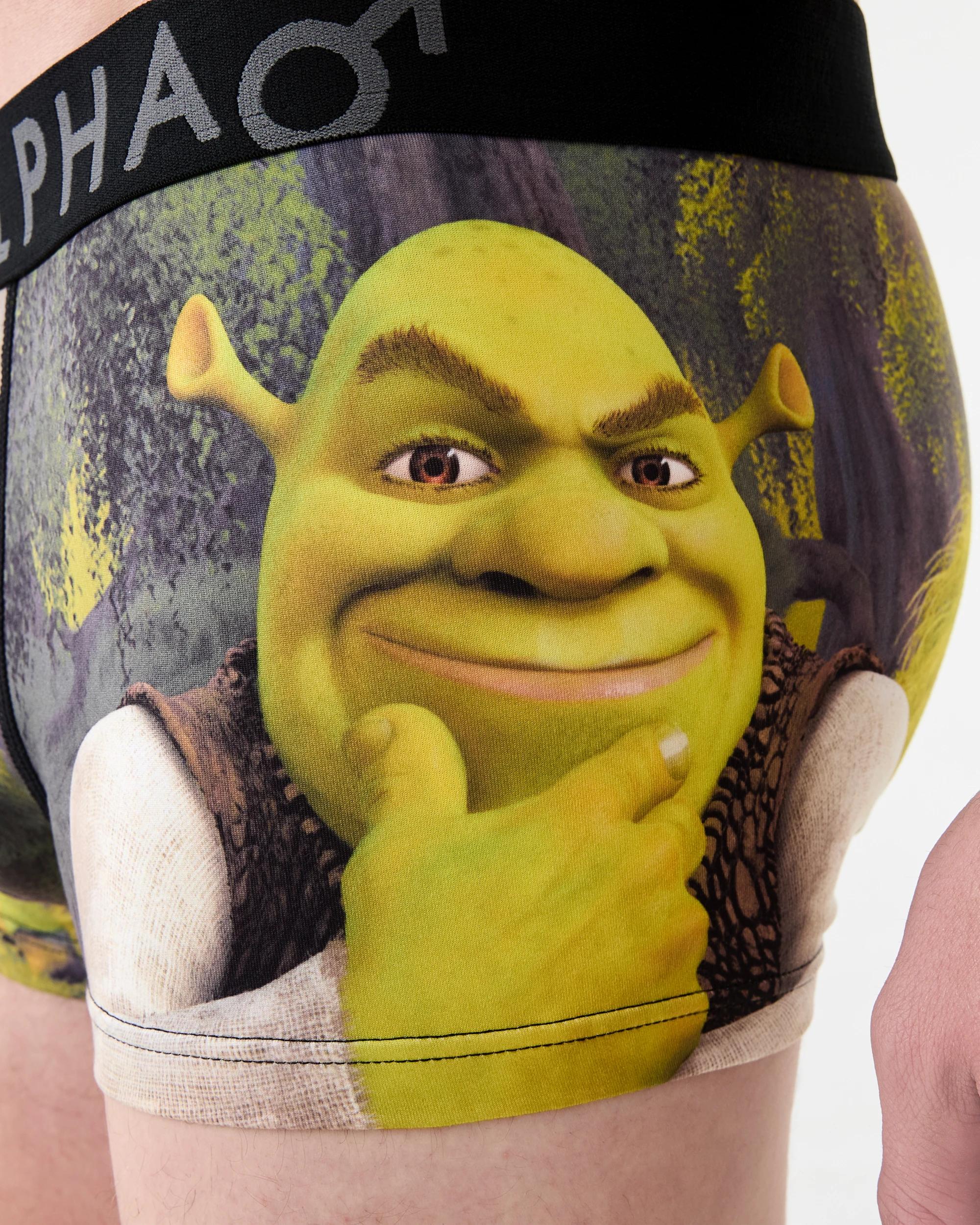 5 License Print Trunks Shrek W26, 5 of 6