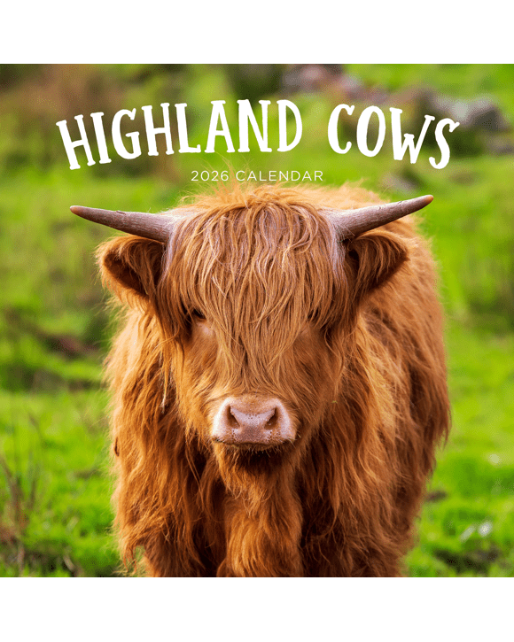 Highland Cows 2026 Calendar