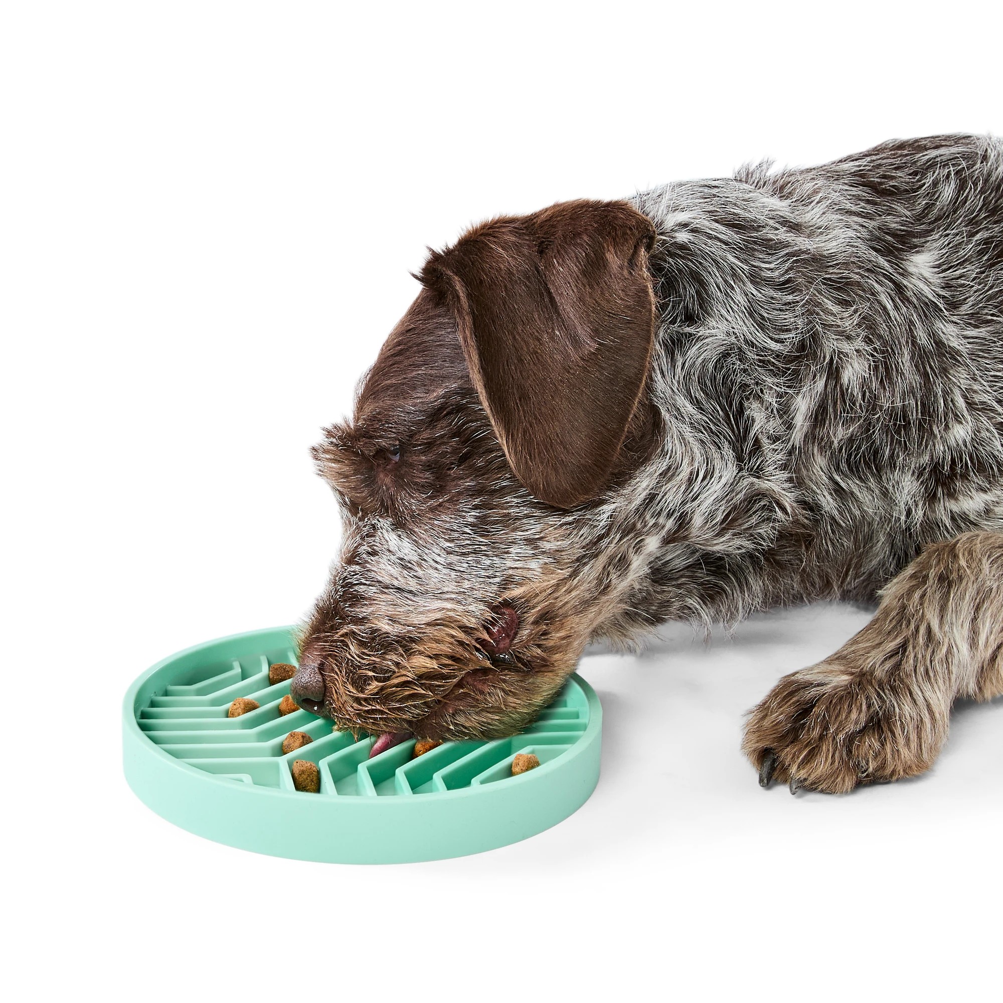 2 Pet Silicone Slow Feed Plate - Teal, 2 of 7
