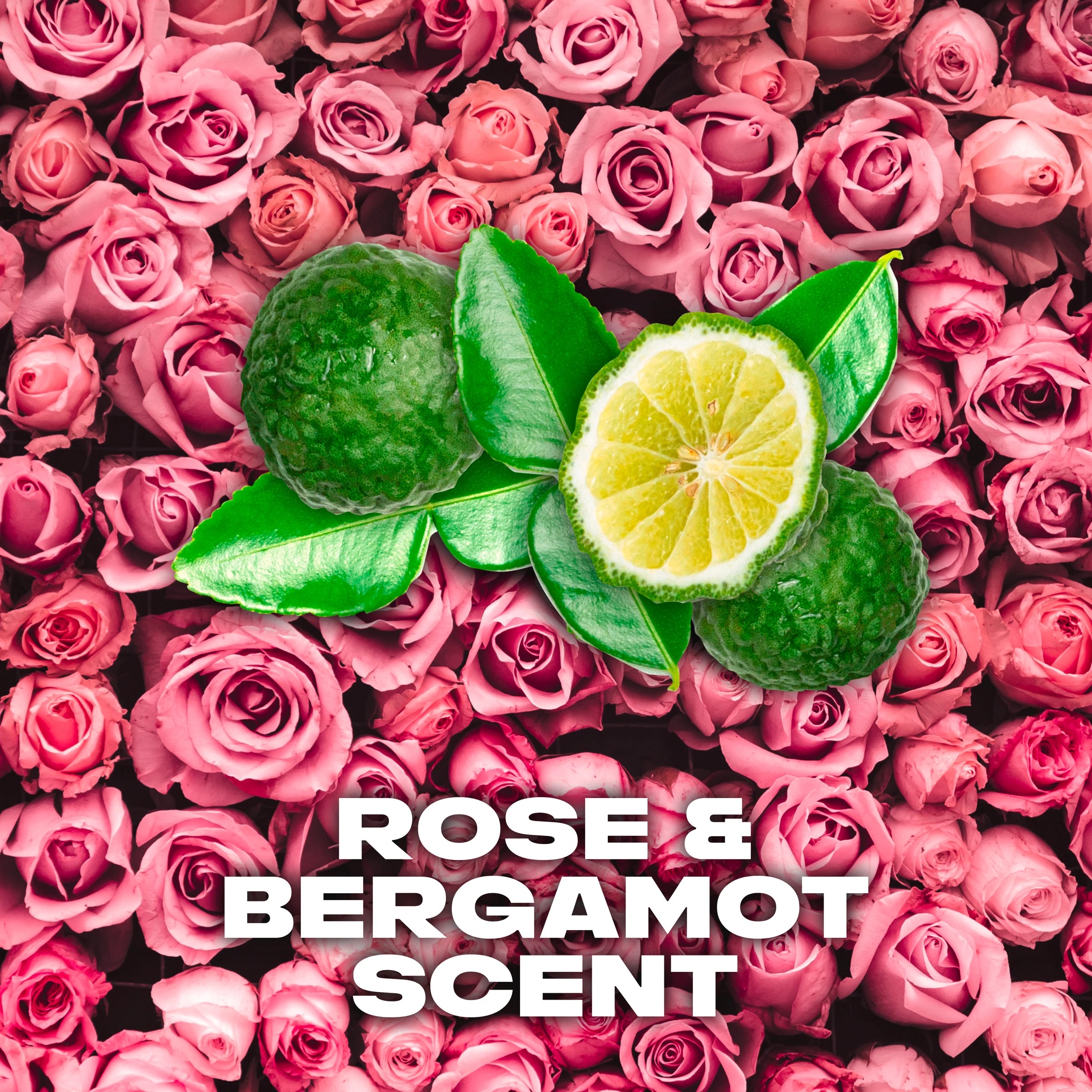 3 LYNX Anarchy For Her Deodorant Bodyspray - Rose and Bergamot Scented, 3 of 4