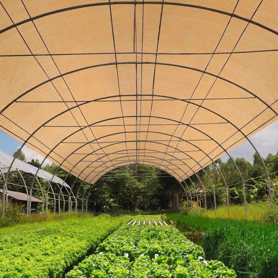 5 Instahut 50% Shade Cloth 3.66x30m Shadecloth Sail Heavy Duty - Beige, 5 of 5