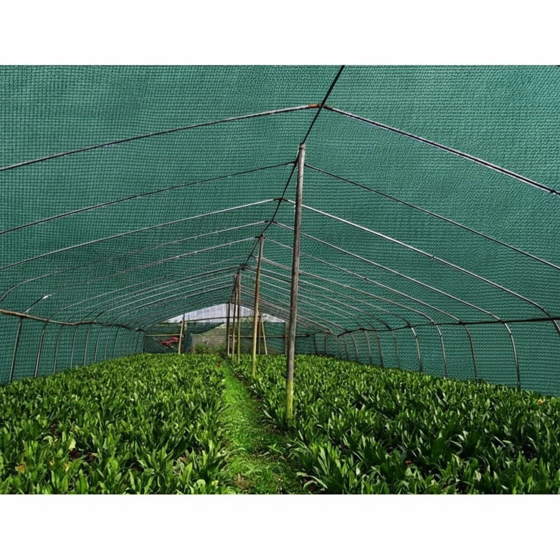 4 Instahut 30% Shade Cloth 3.66x20m Shadecloth Wide Heavy Duty - Green, 4 of 5