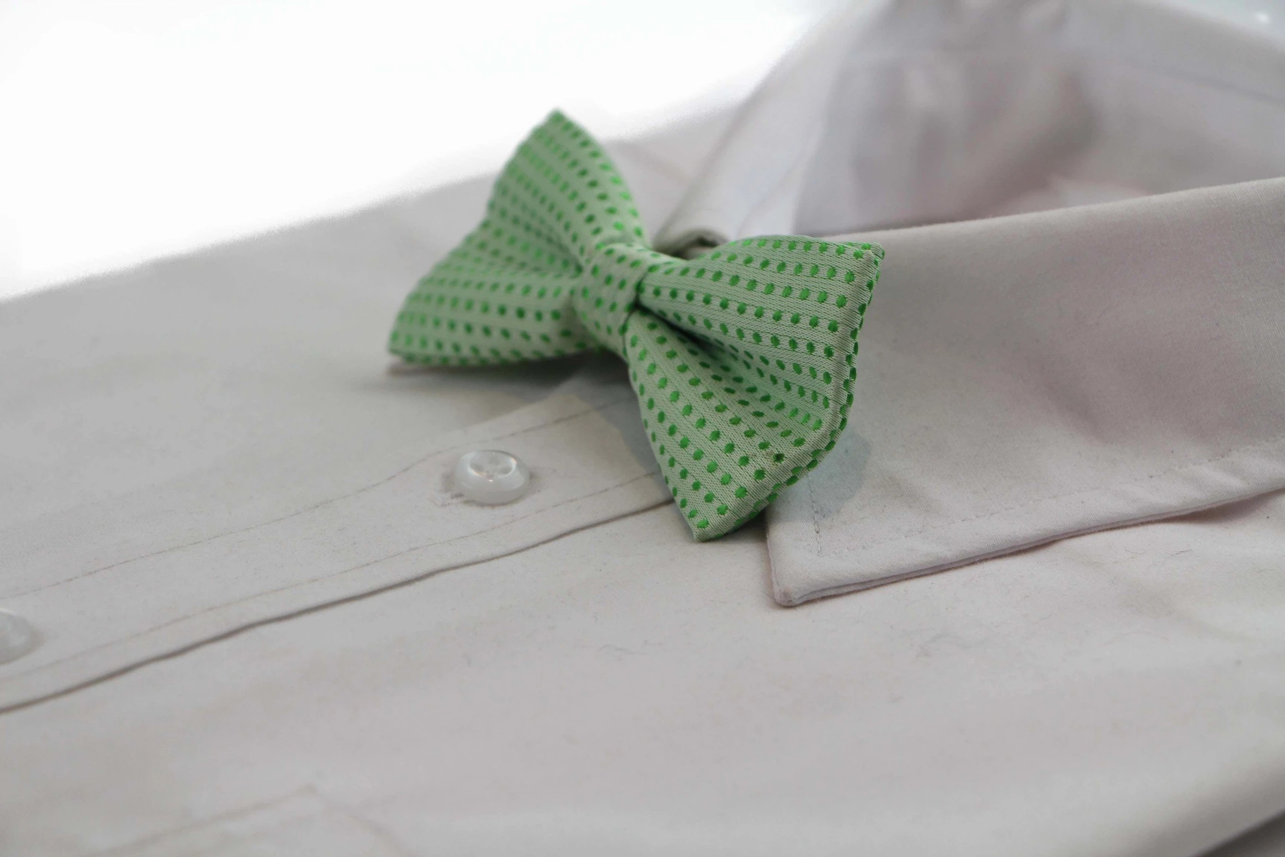 4 Zasel Boys Light Green Polka Dot Pattern Bow Tie - Green, 4 of 5