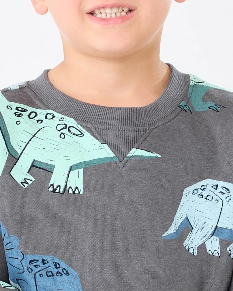 4 All Over Print Crew Neck Sweatshirt Gry Dino, 4 of 6