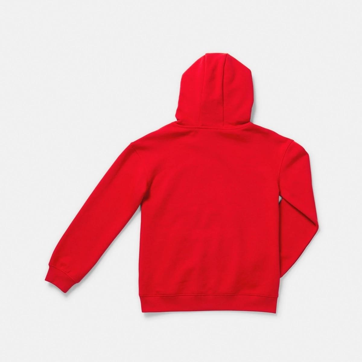 8 Official AFL Kids Hoodie Sydney, 8 of 8