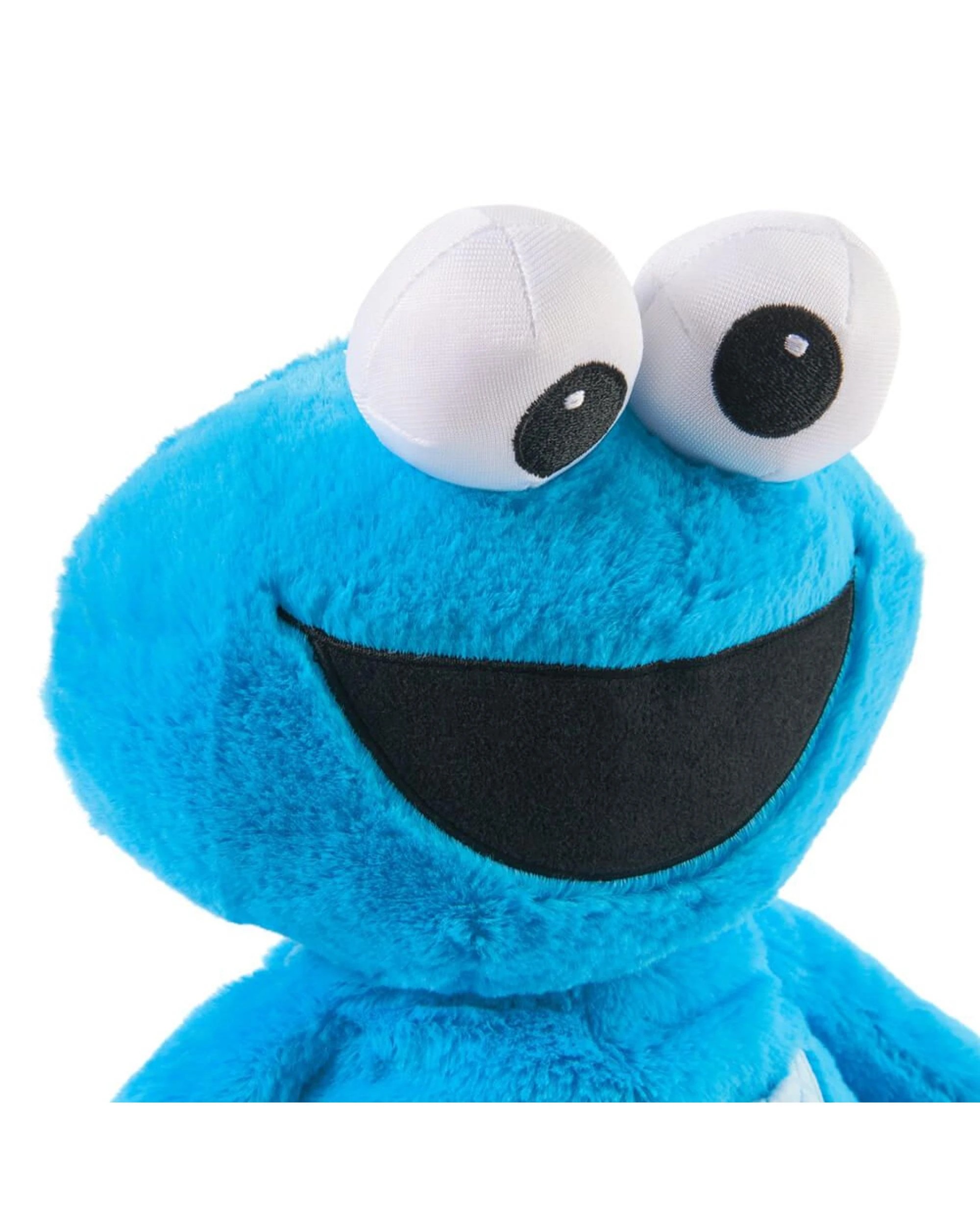 7 Gund Sesame Street Oh So Snuggly Cookie Monster Plush, 7 of 9