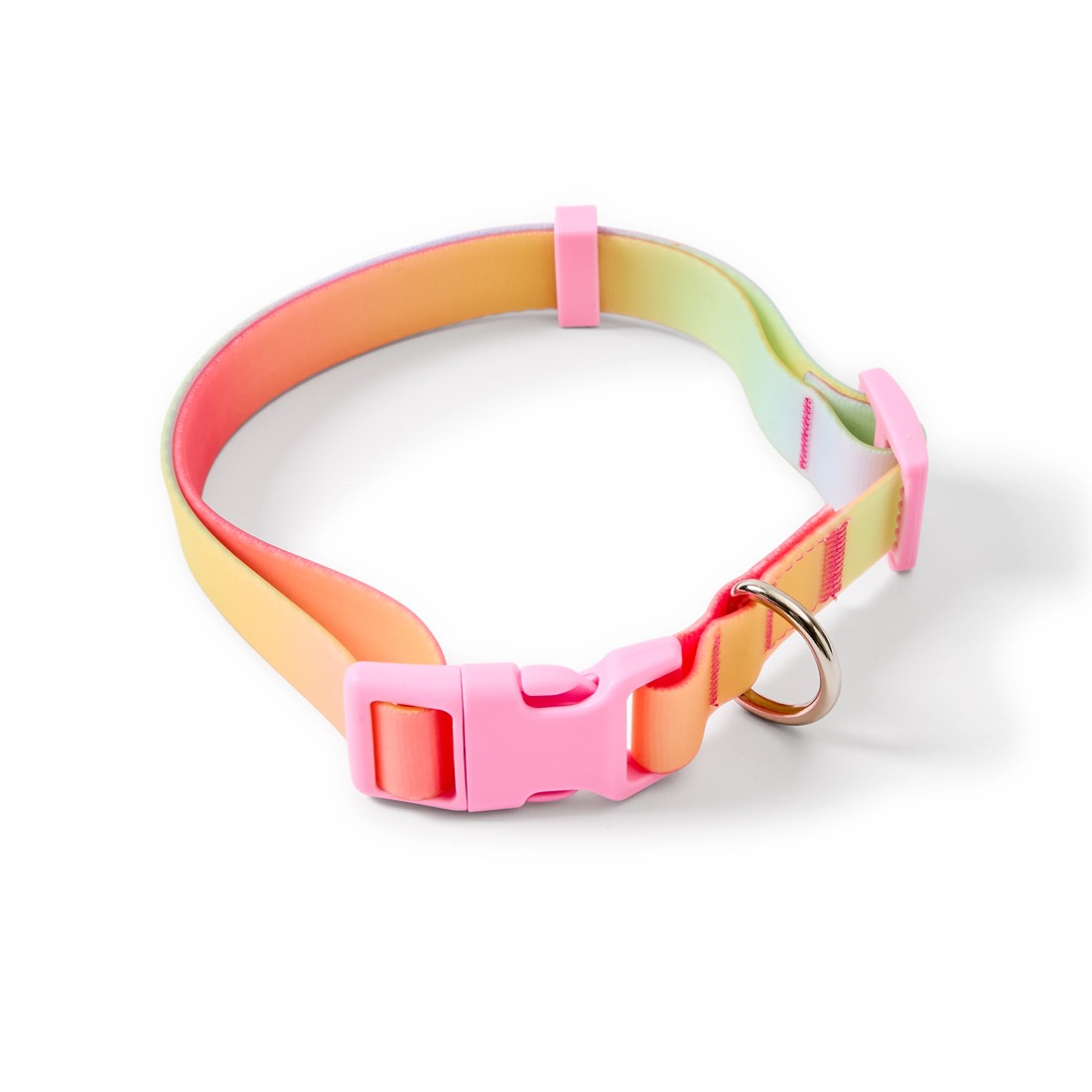 4 Pet Rainbow Walking Set - Large, 4 of 6