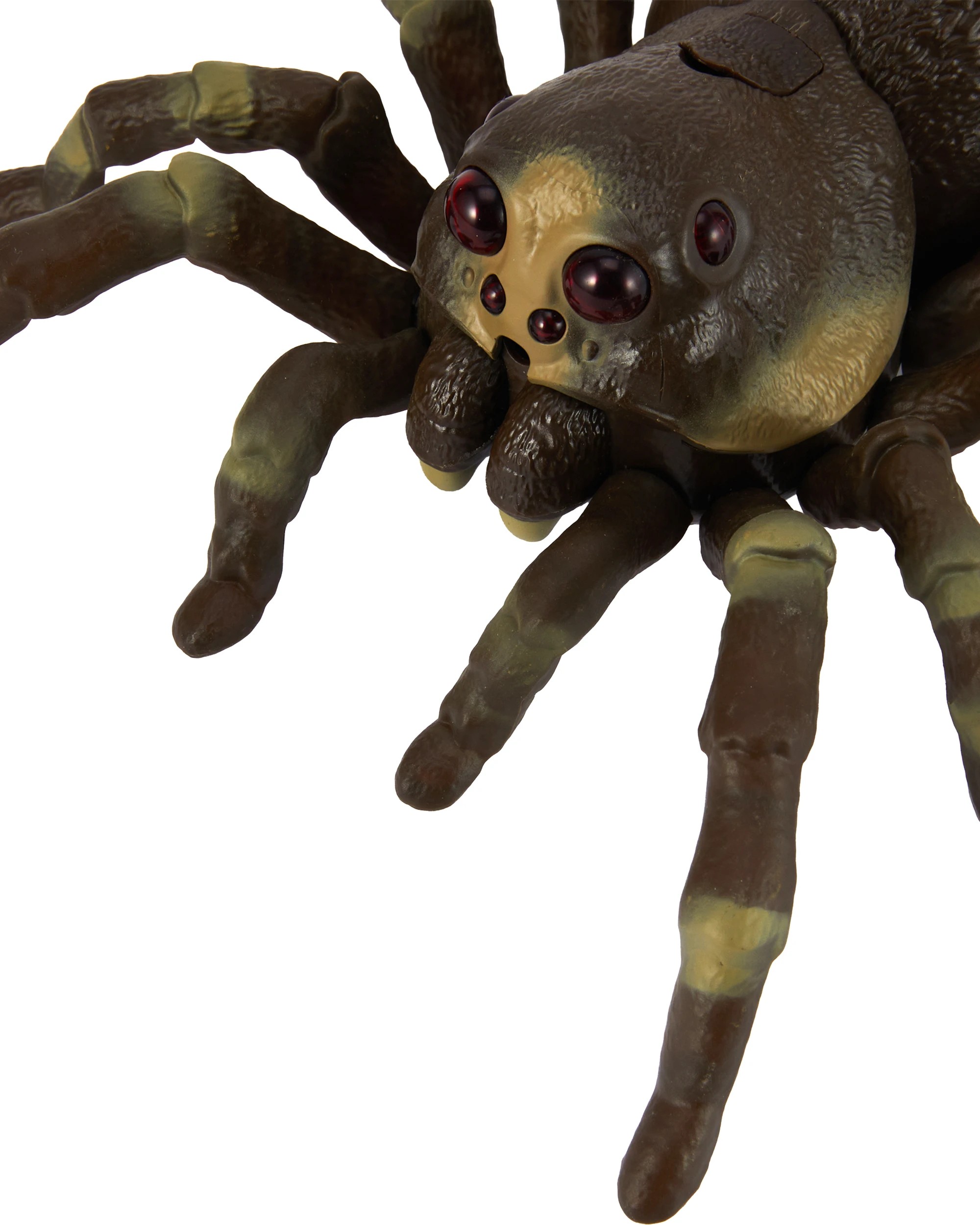 6 Remote Control Spider, 6 of 9