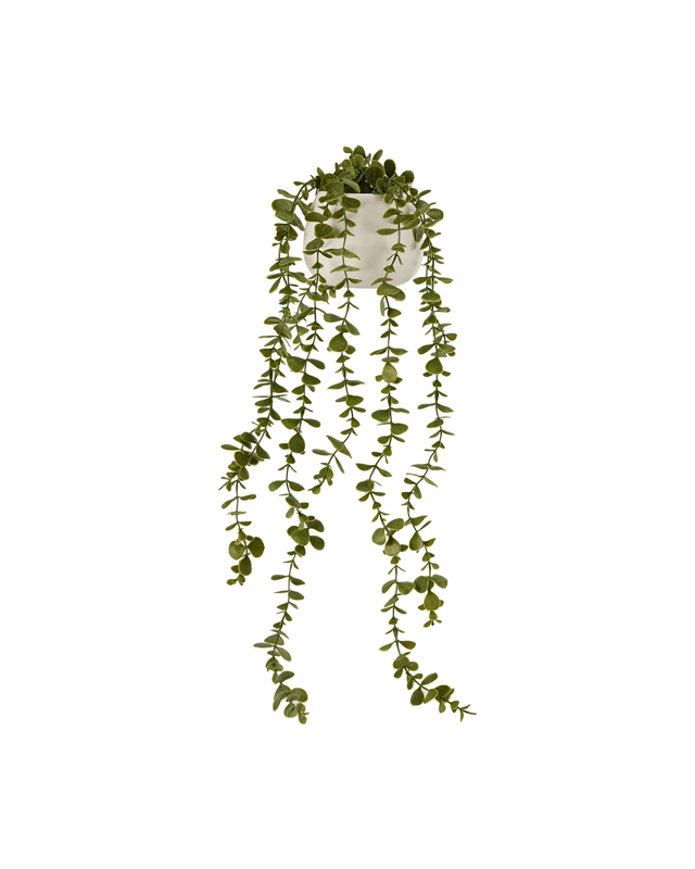 Artificial Trailing Plant in