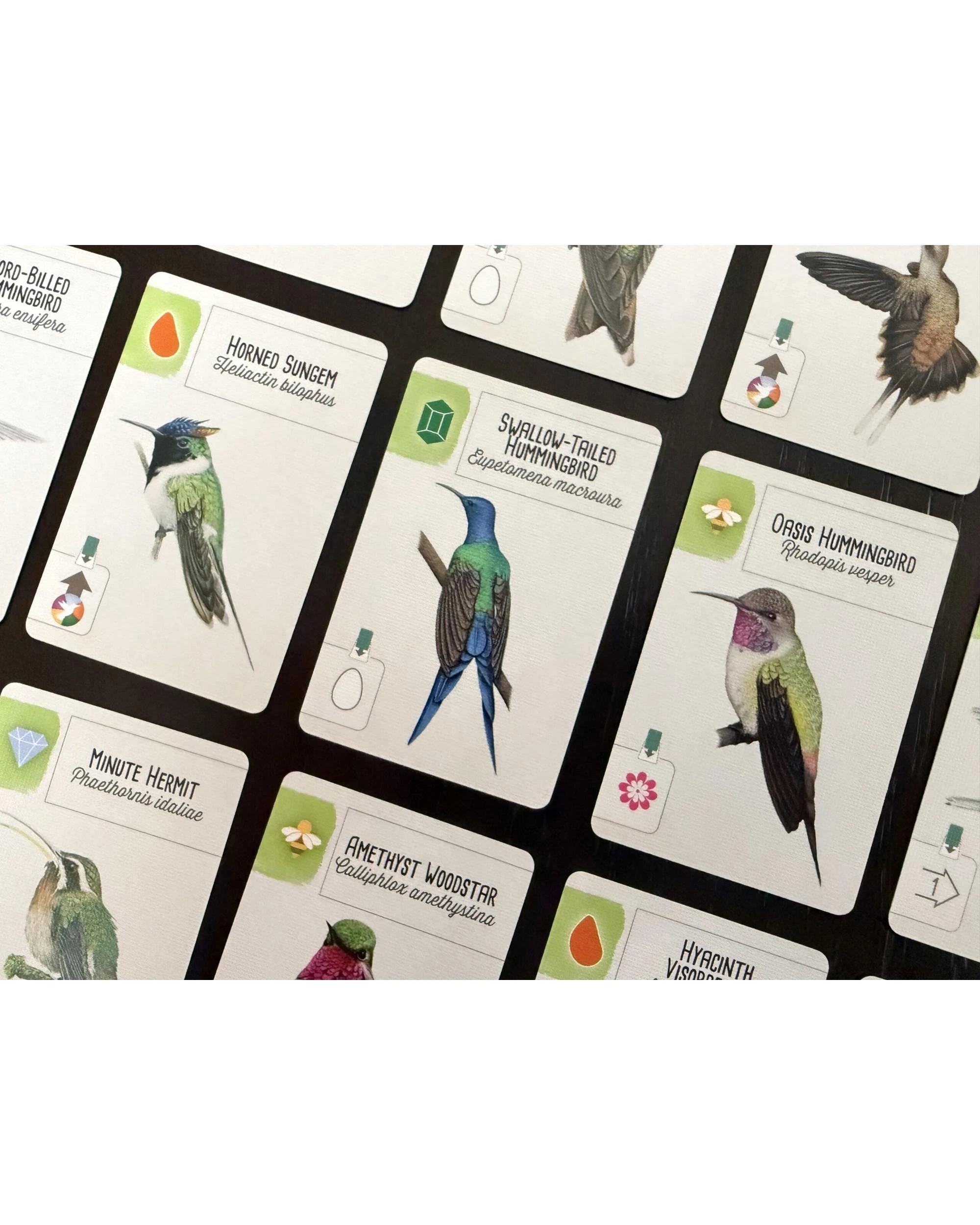 9 Wingspan Americas Expansion Board Game, 9 of 10