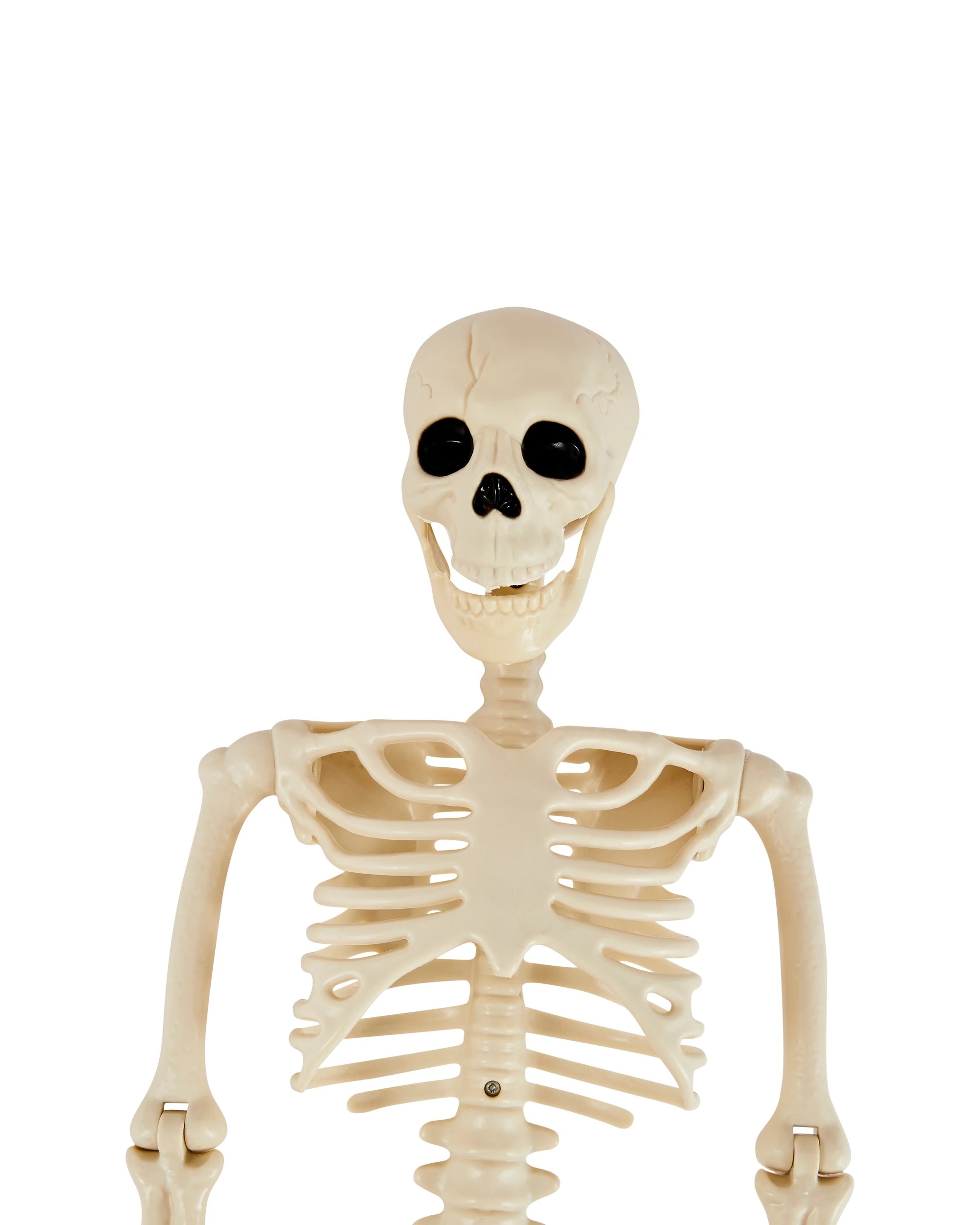 4 90cm Poseable Skeleton - Assorted, 4 of 5