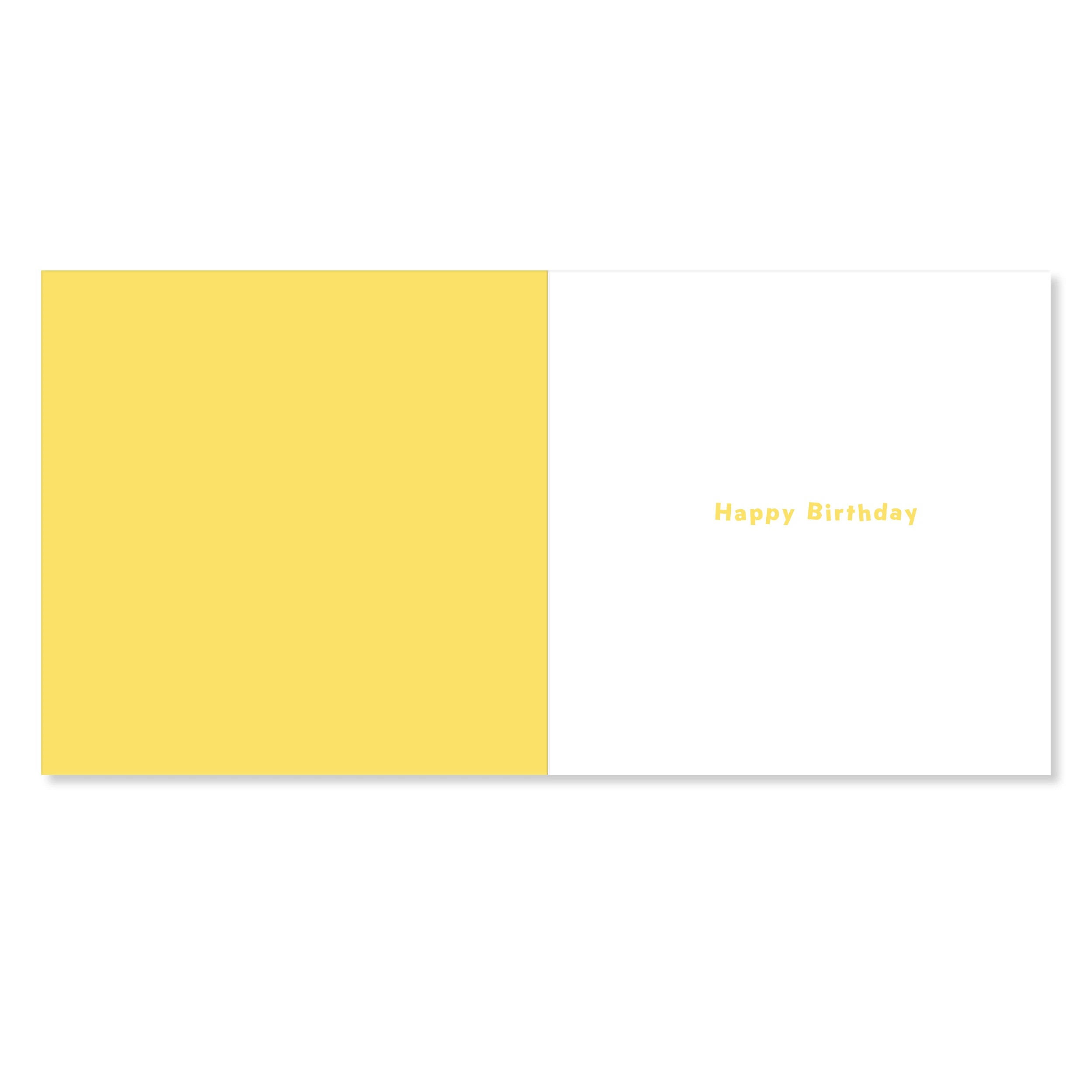 2 Hallmark Birthday Card - Go Wild!, 2 of 3