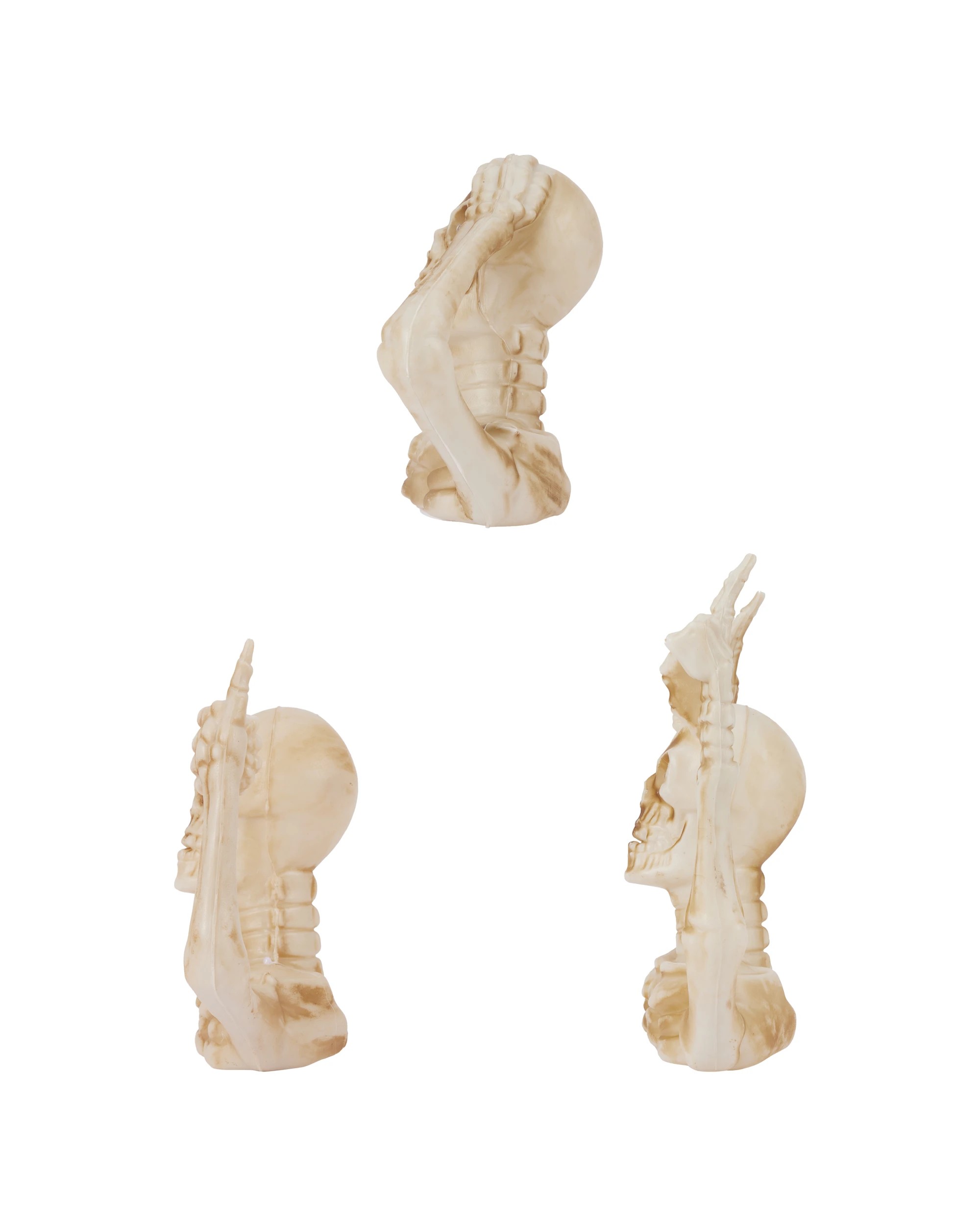 3 Light Up Skeleton Torso - Assorted, 3 of 6