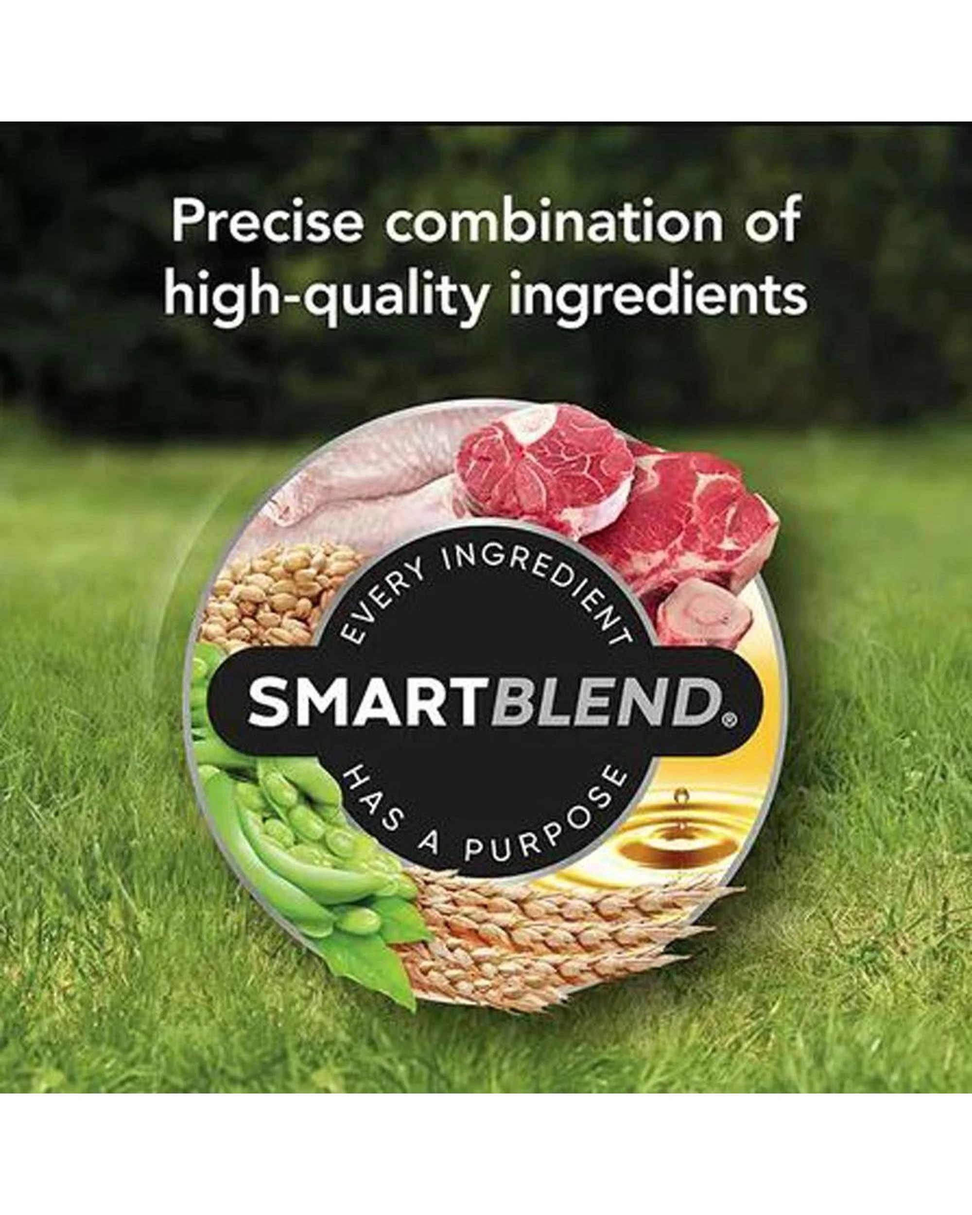6 Supercoat Smartblend Adult Healthy Digestion Dry Dog Food w/ Beef 2.8kg, 6 of 10