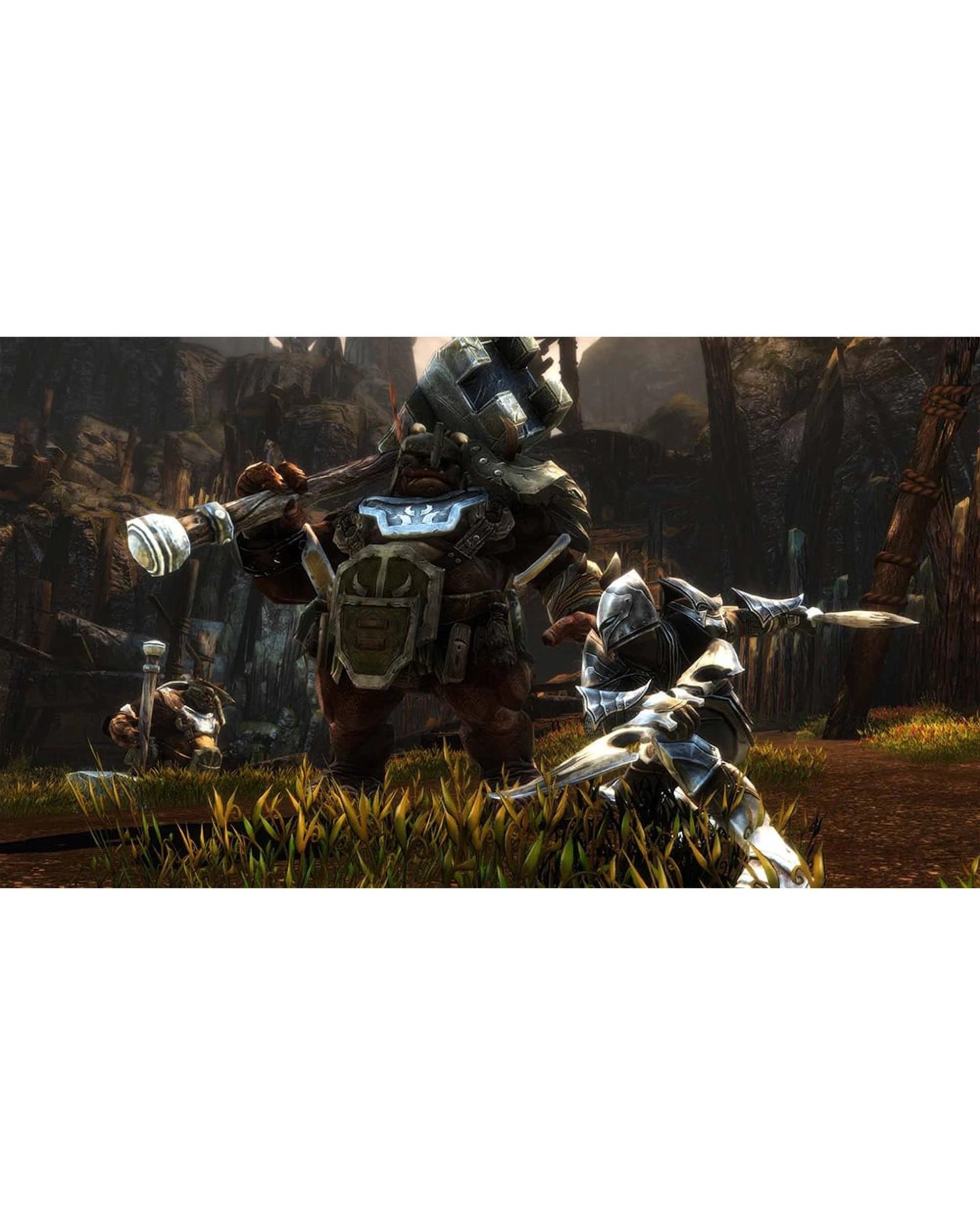 4 Kingdoms of Amalur: Re-Reckoning - PS4, 4 of 5