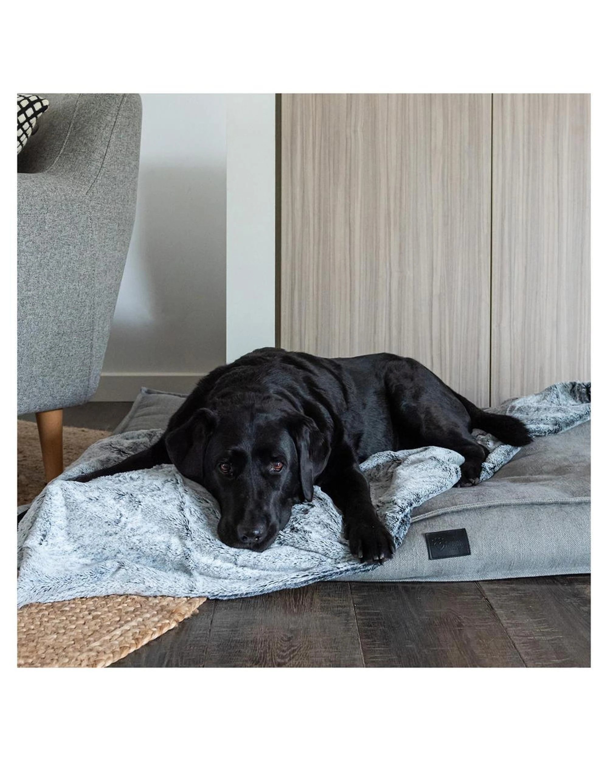 3 Superior Pet Calming Plush Pet Blanket Arctic Faux Fur Small, 3 of 6