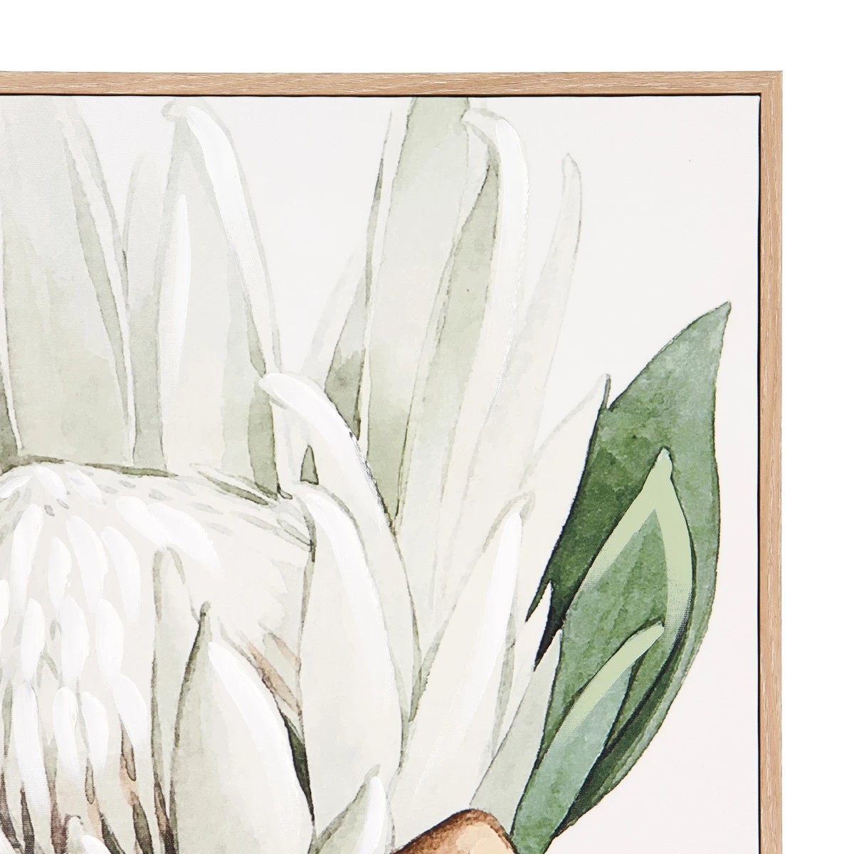 2 Protea Floral Framed Canvas, 2 of 4