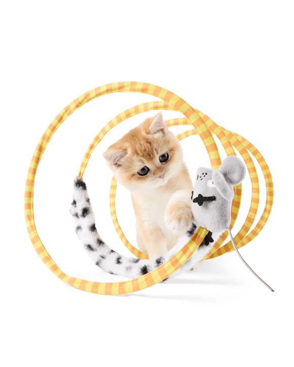 Cat Toy Spiral Tunnel