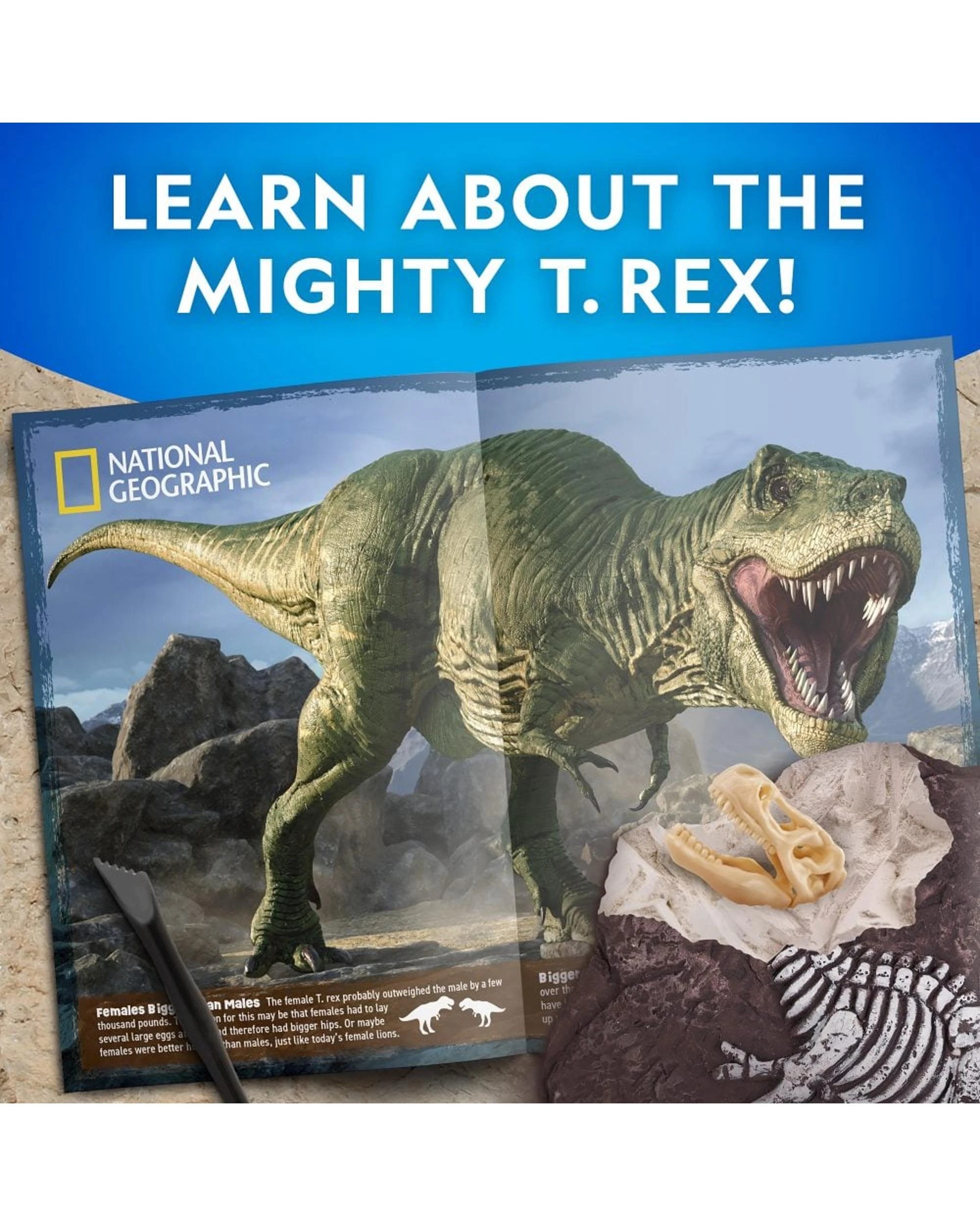 3 National Geographic Tyrannosaurus Rex Dig Kit, 3 of 3