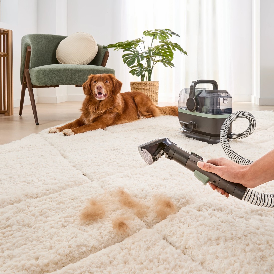 4 Multi-Purpose Spot Cleaner, 4 of 10