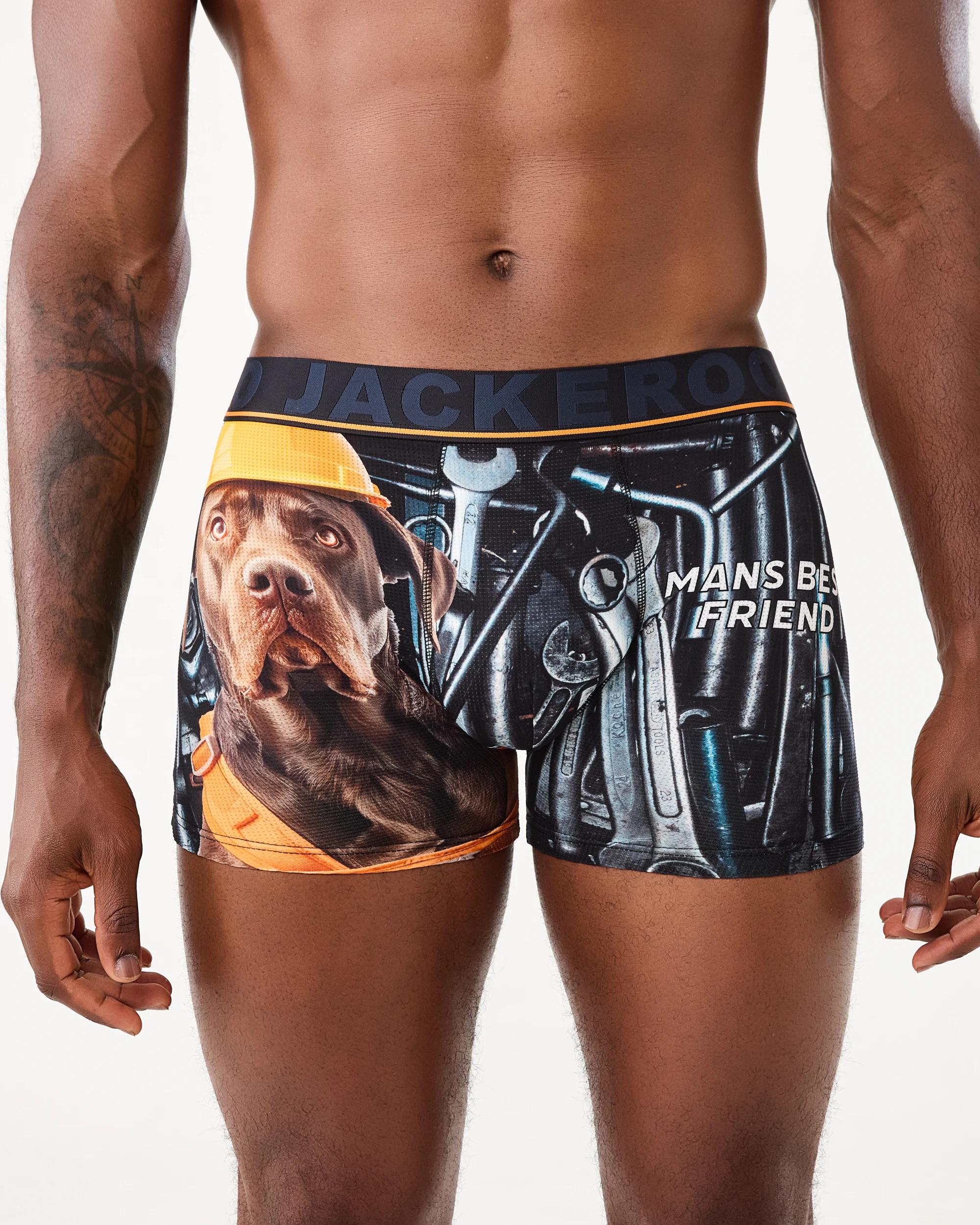 2 3 Pack Jackeroo Print Mesh Trunks Multi Dog, 2 of 7