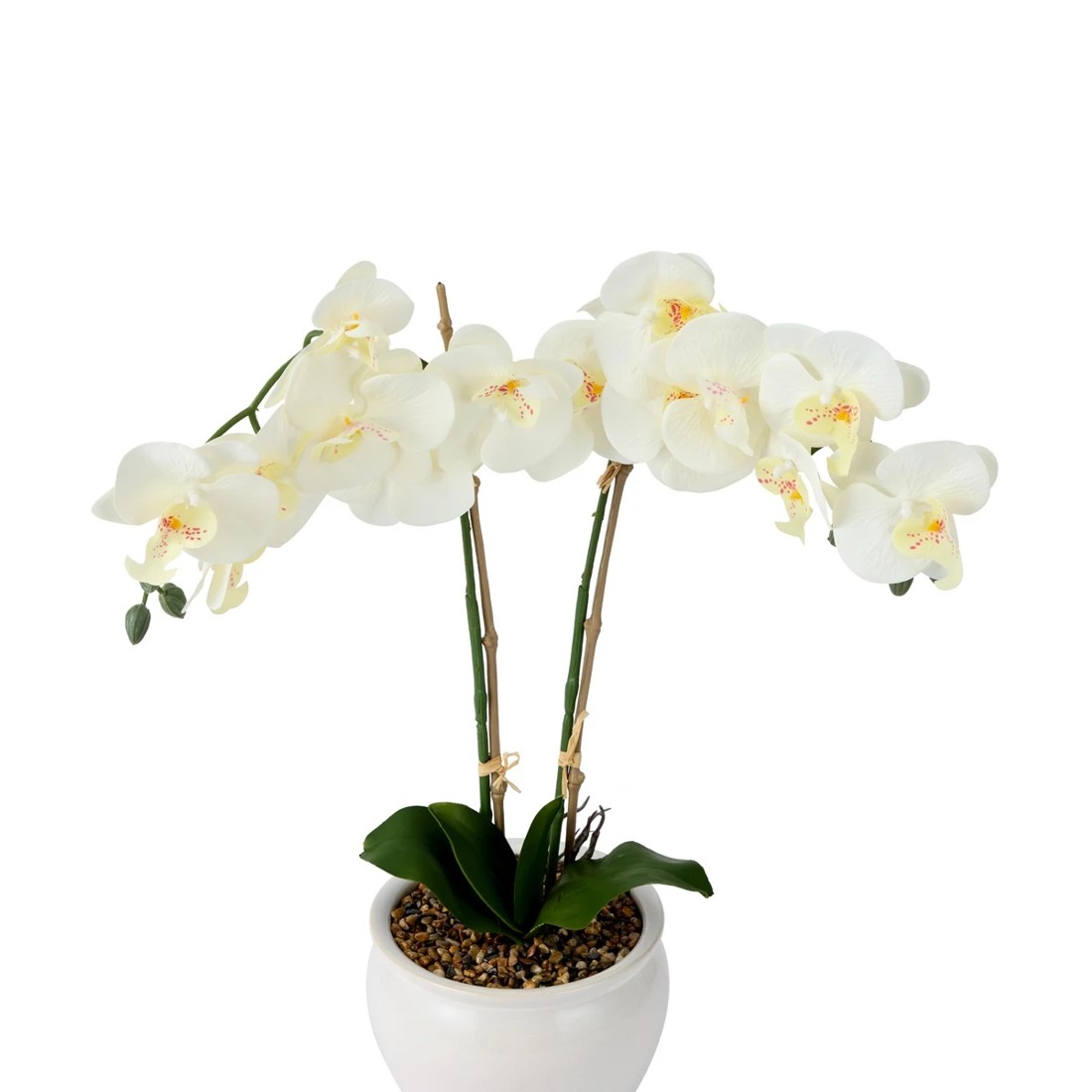 2 Artificial White Orchid in Vase, 2 of 3