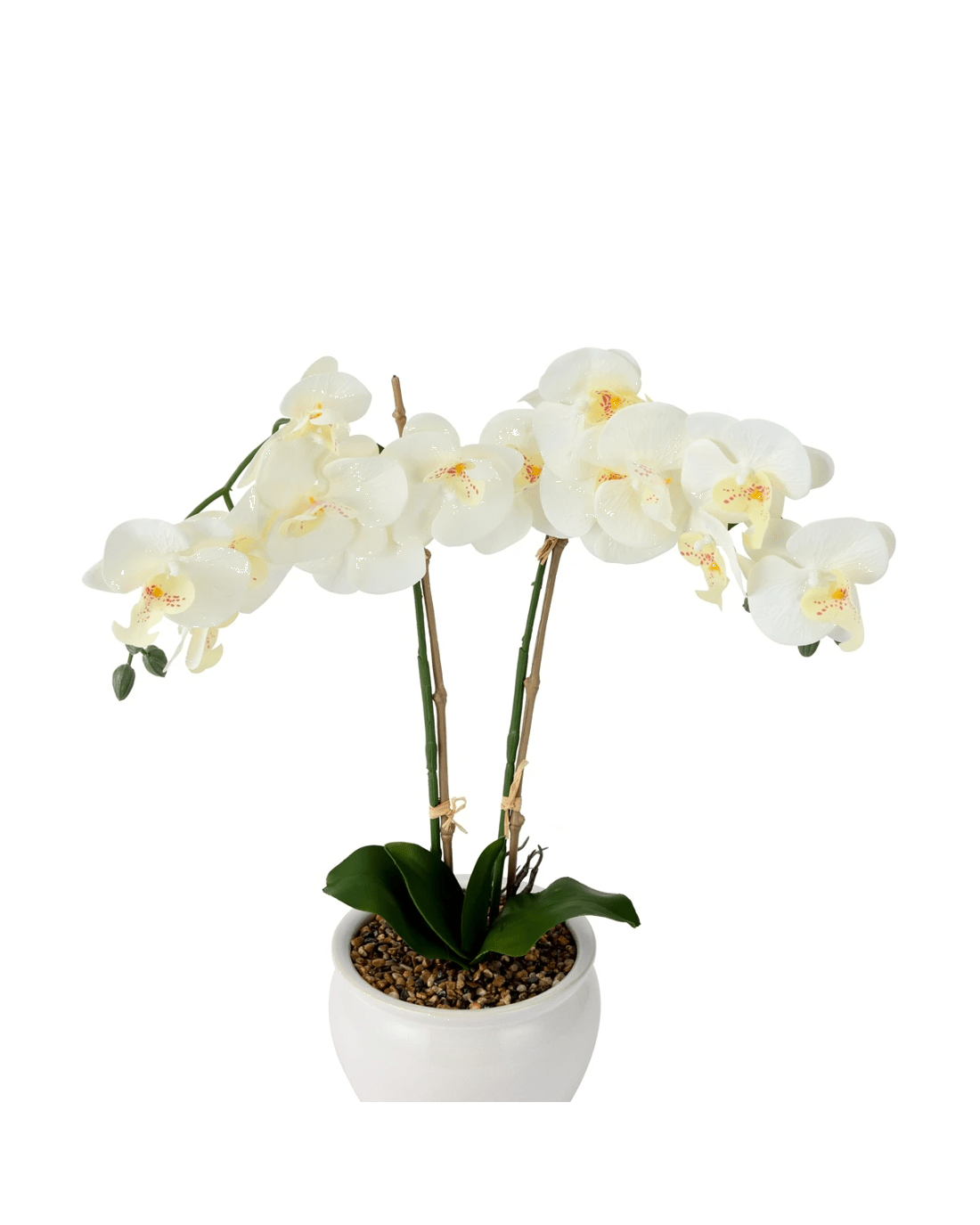 2 Artificial White Orchid in Vase, 2 of 3