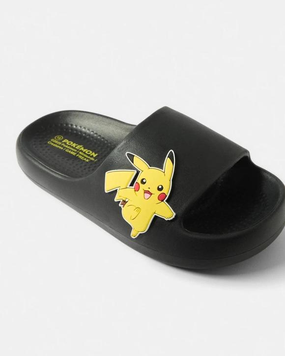 Senior Pokemon License Slides