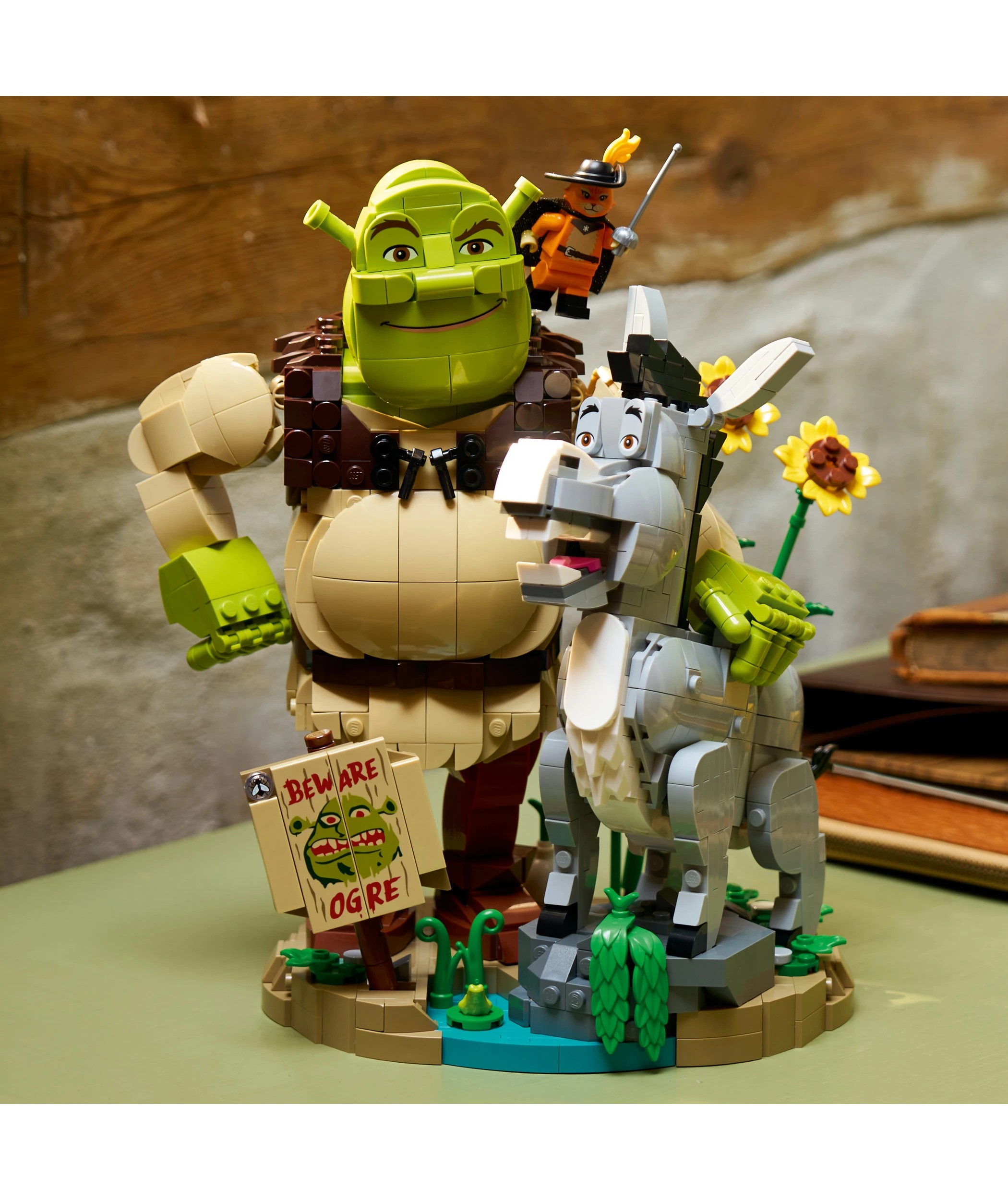 8 LEGO Shrek, Donkey & Puss in Boots 72423, 8 of 9