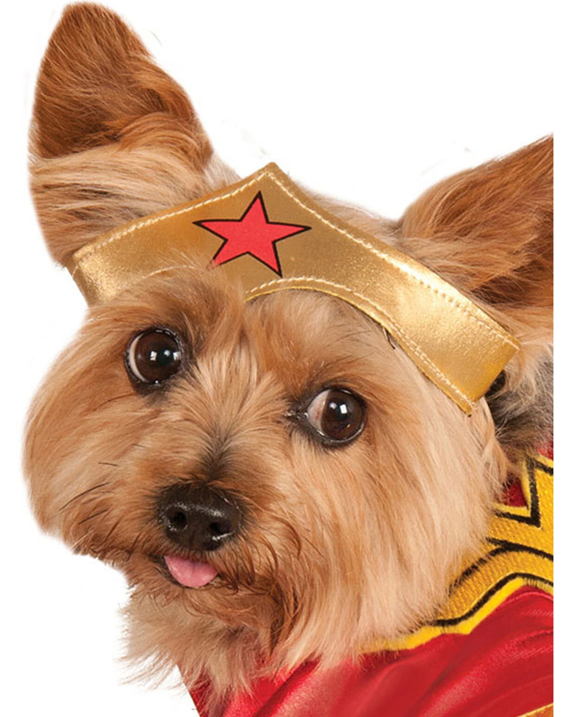 2 Dc Comics Superhero Wonder Woman Pet Dogs Costume Size L - Multi, 2 of 3