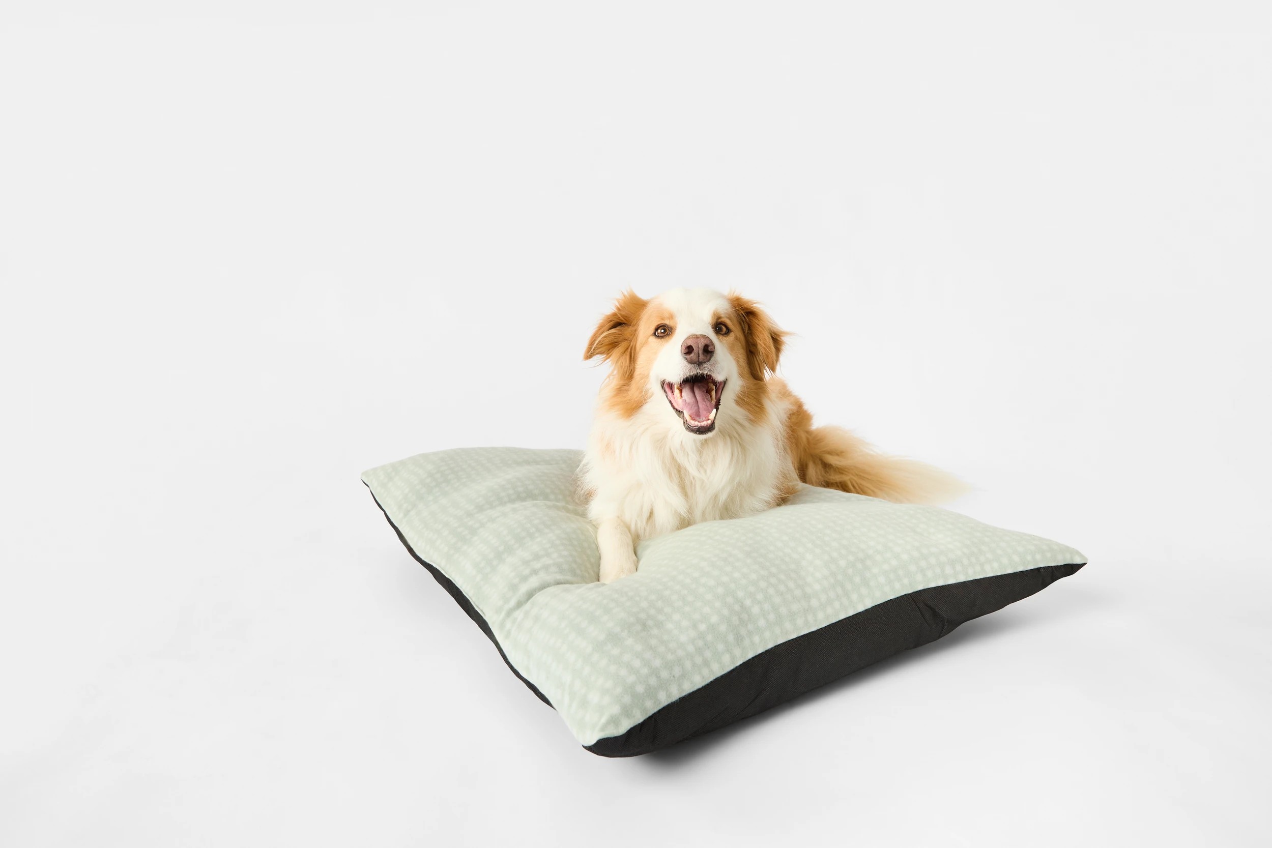 2 Pet Bed Rectangle Fleece - Large, 2 of 9