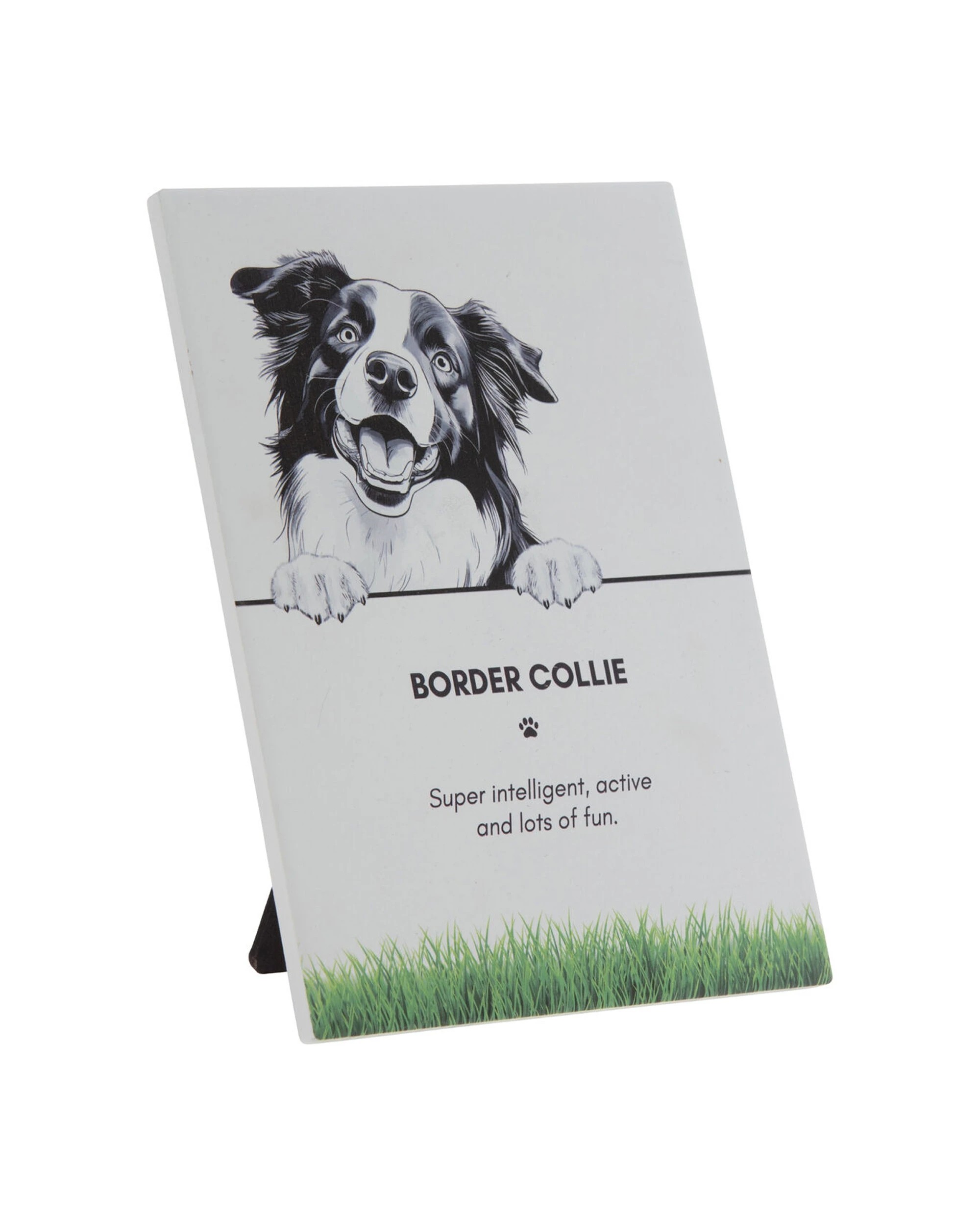 2 Bramble Bay 2PK Pet Wall Art Plaque Border Collie Dog Lovers Gift 16.5x21cm - Multi, 2 of 3