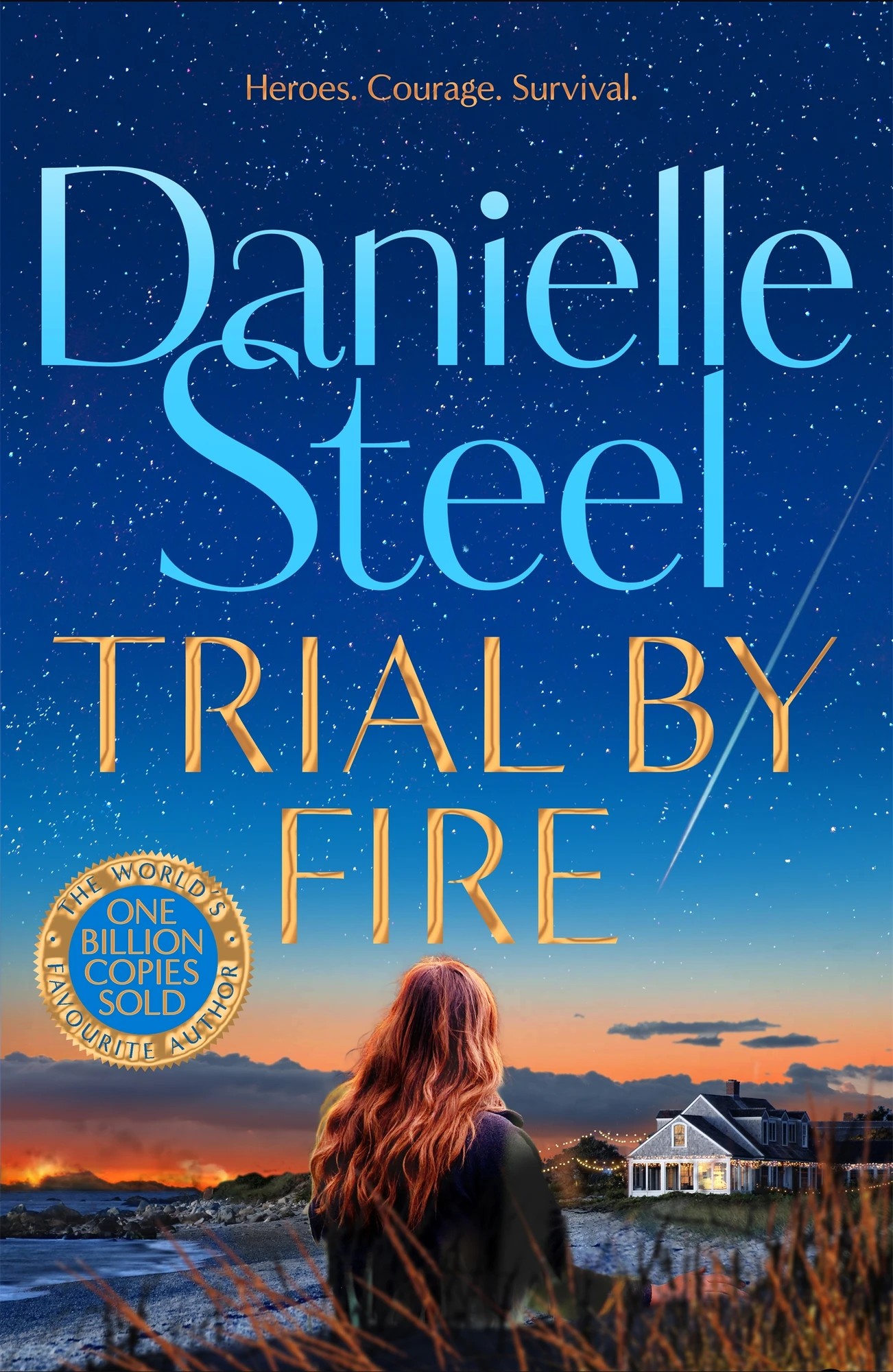 1 Trial by Fire by Danielle Steel - Book