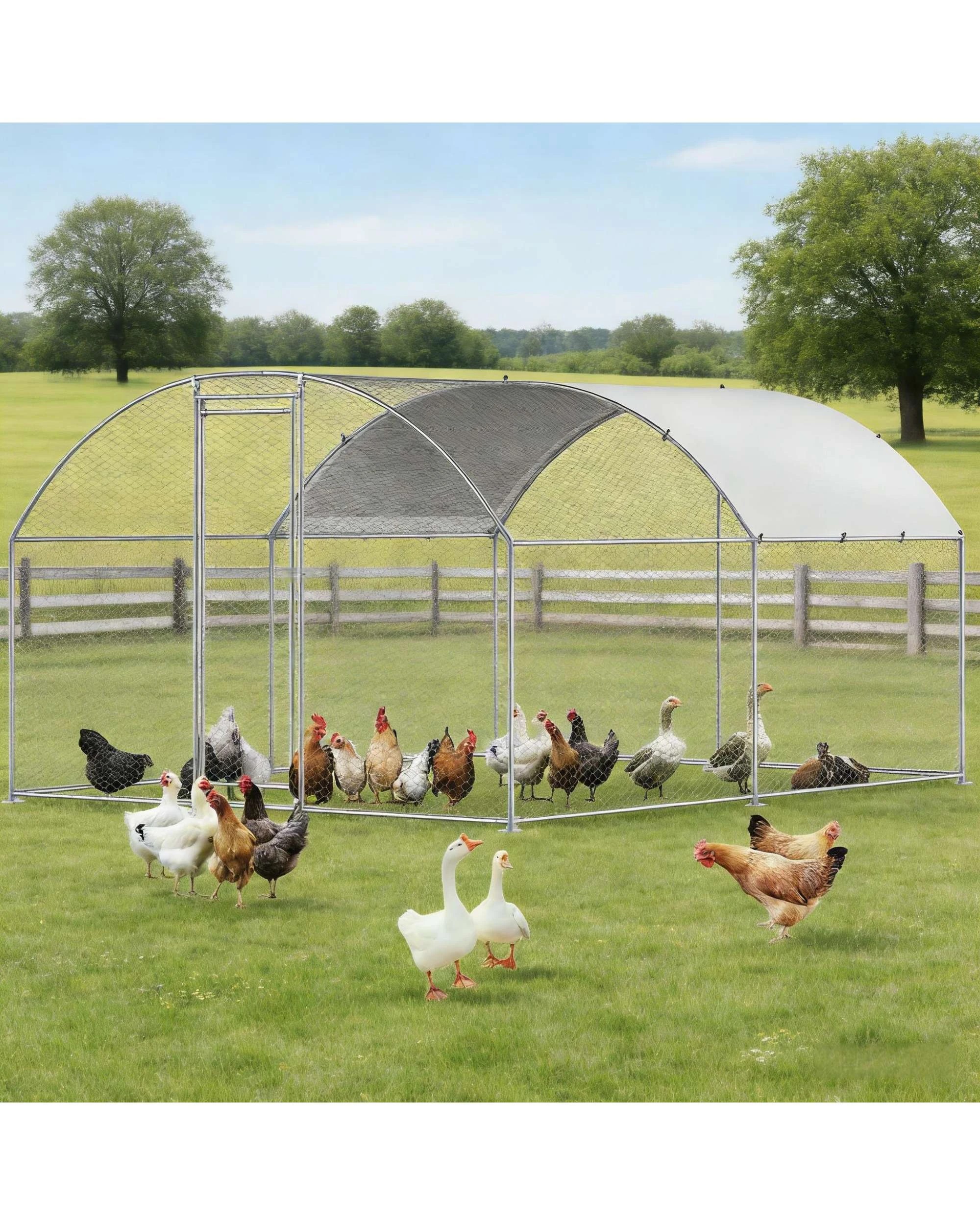 4 Advwin Walk In Chicken Coop, 4 of 7