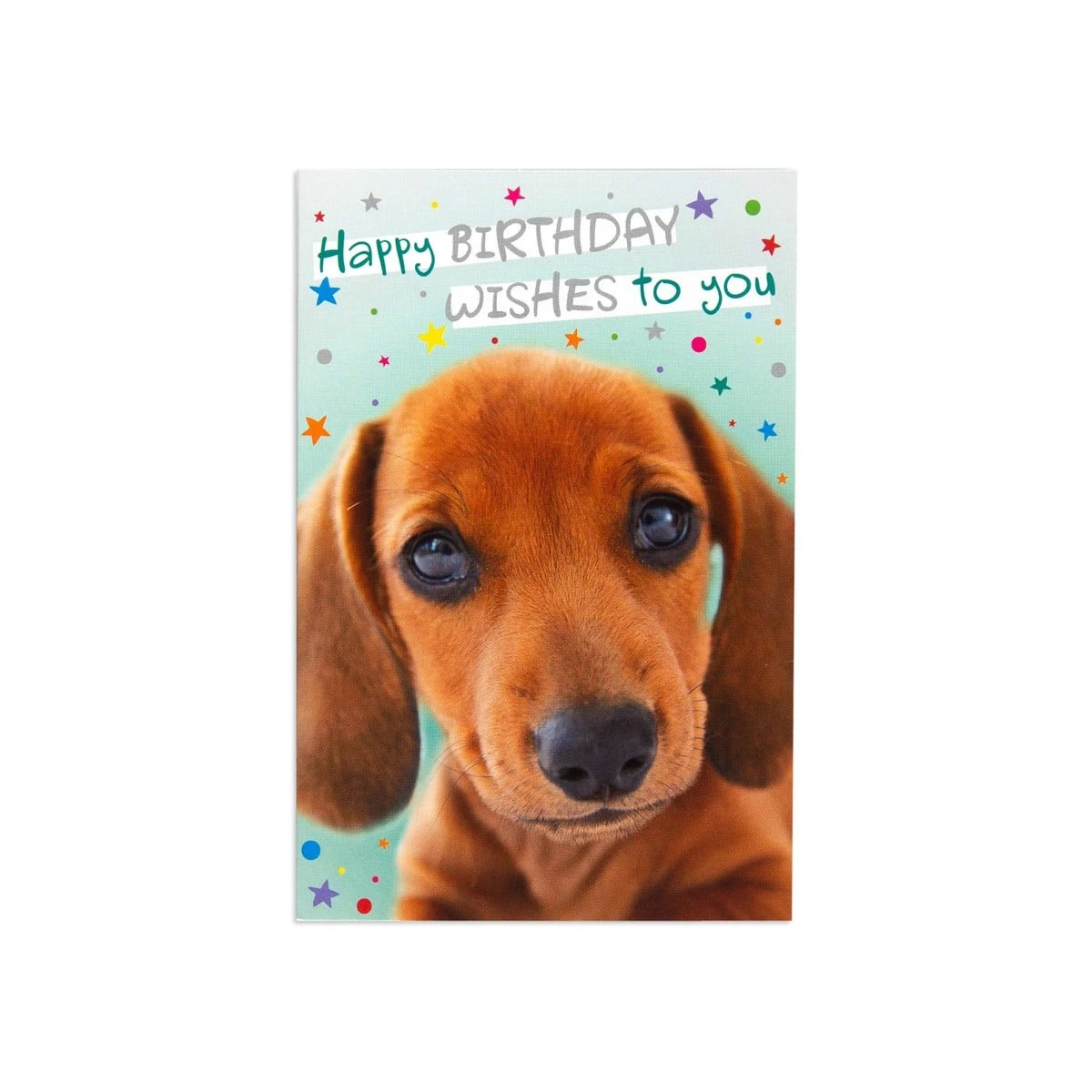 1 Hallmark Birthday Card by Creative Publishing - Dachshund Dog, 1 of 3