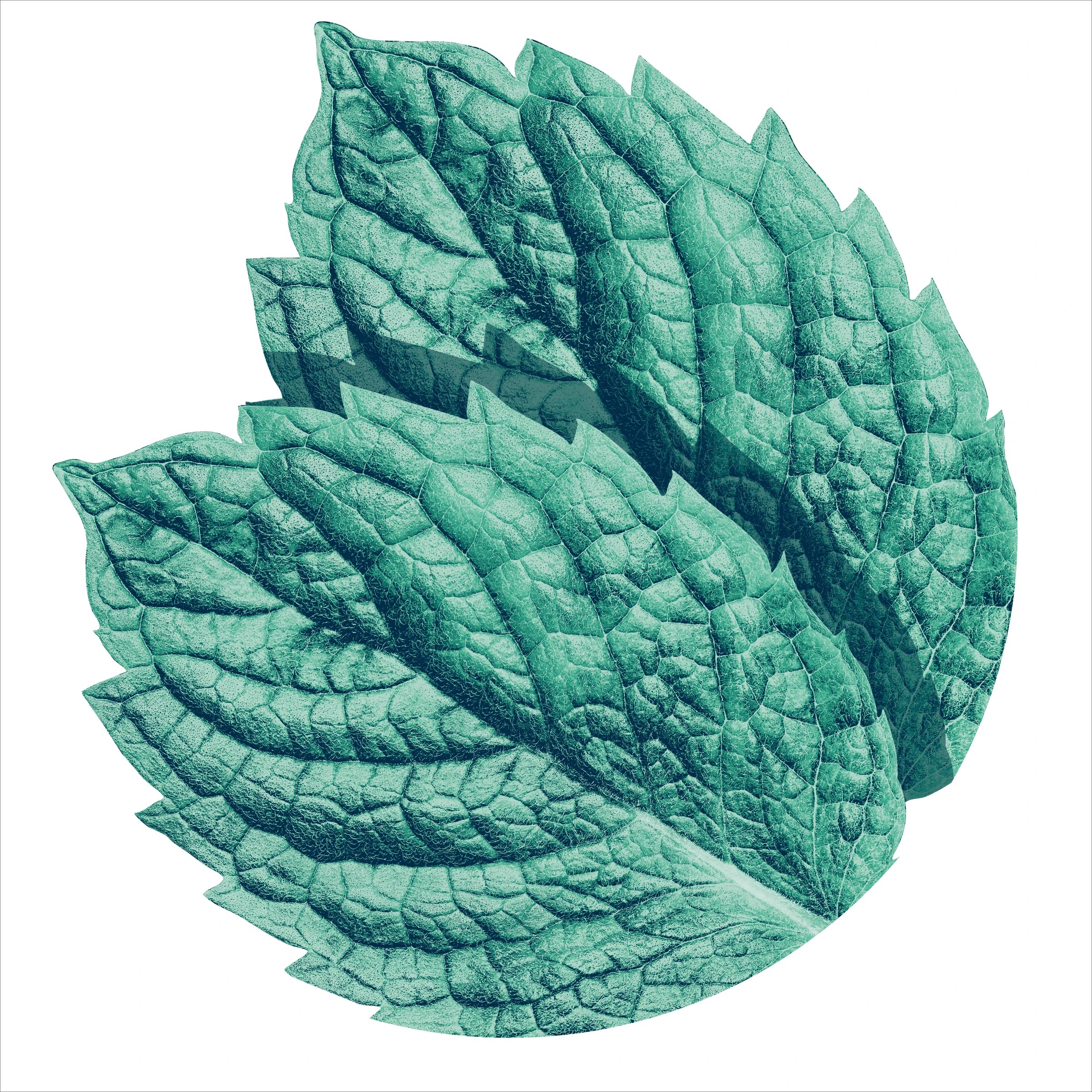 5 14 Piece Wrigley's Extra Intense Mint 27g, 5 of 5