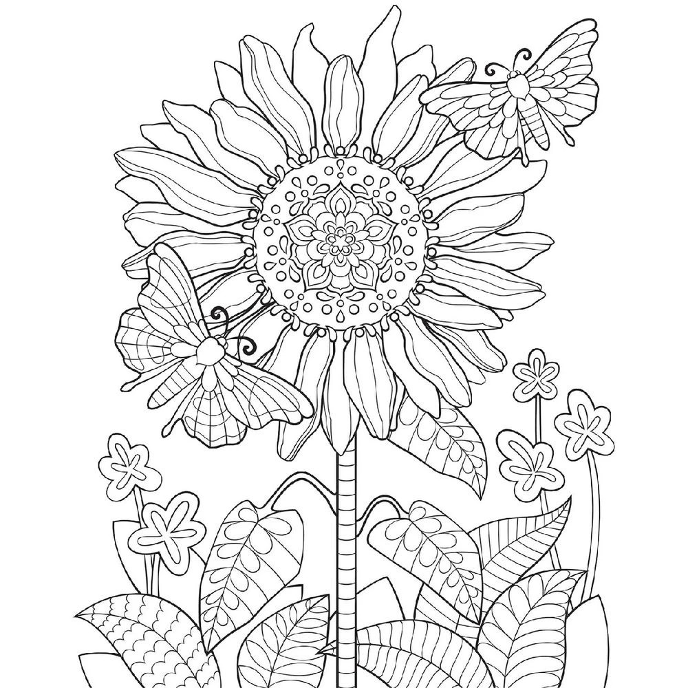 2 Colour-Your-Own Wall Art Colouring Book Nature Mandala, 2 of 3
