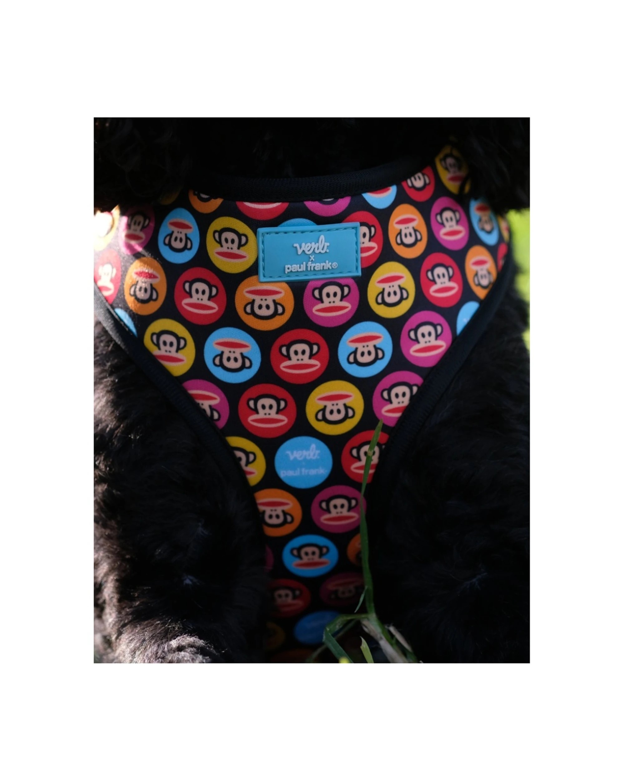 4 Verb. X Paul Frank 100% Polyester Adjustable Pet Harness Medium, 4 of 5