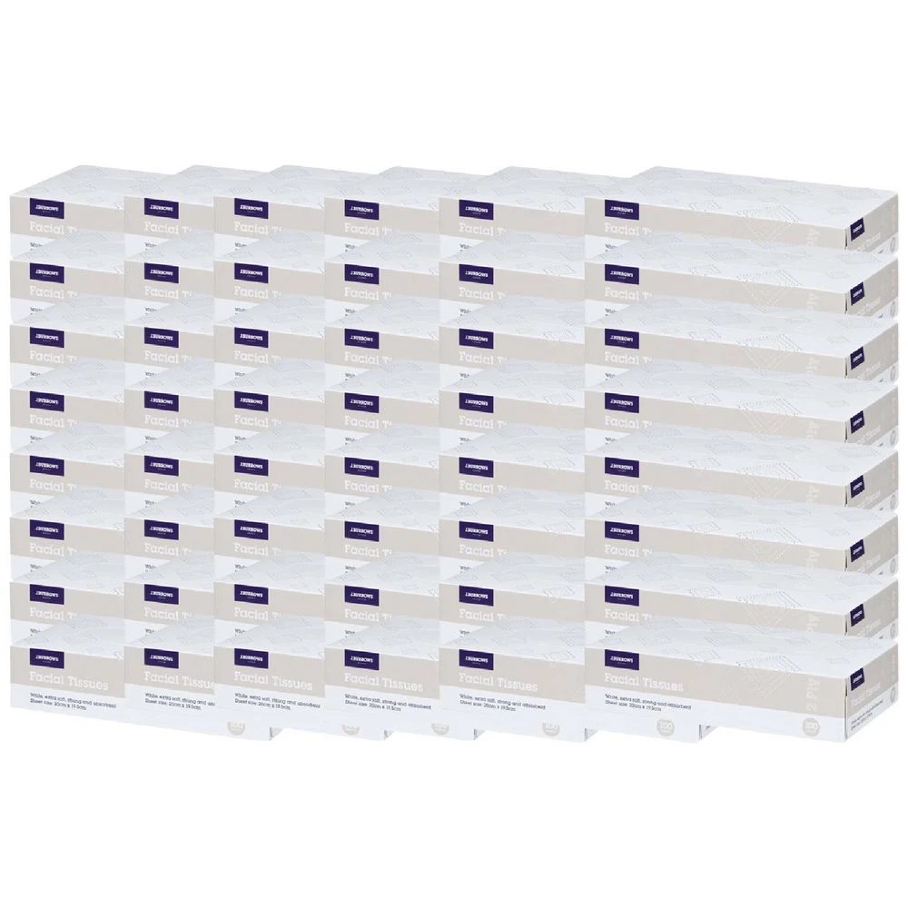 1 J.Burrows Facial Tissue Box 100 Sheets 48 Pack, 1 of 1