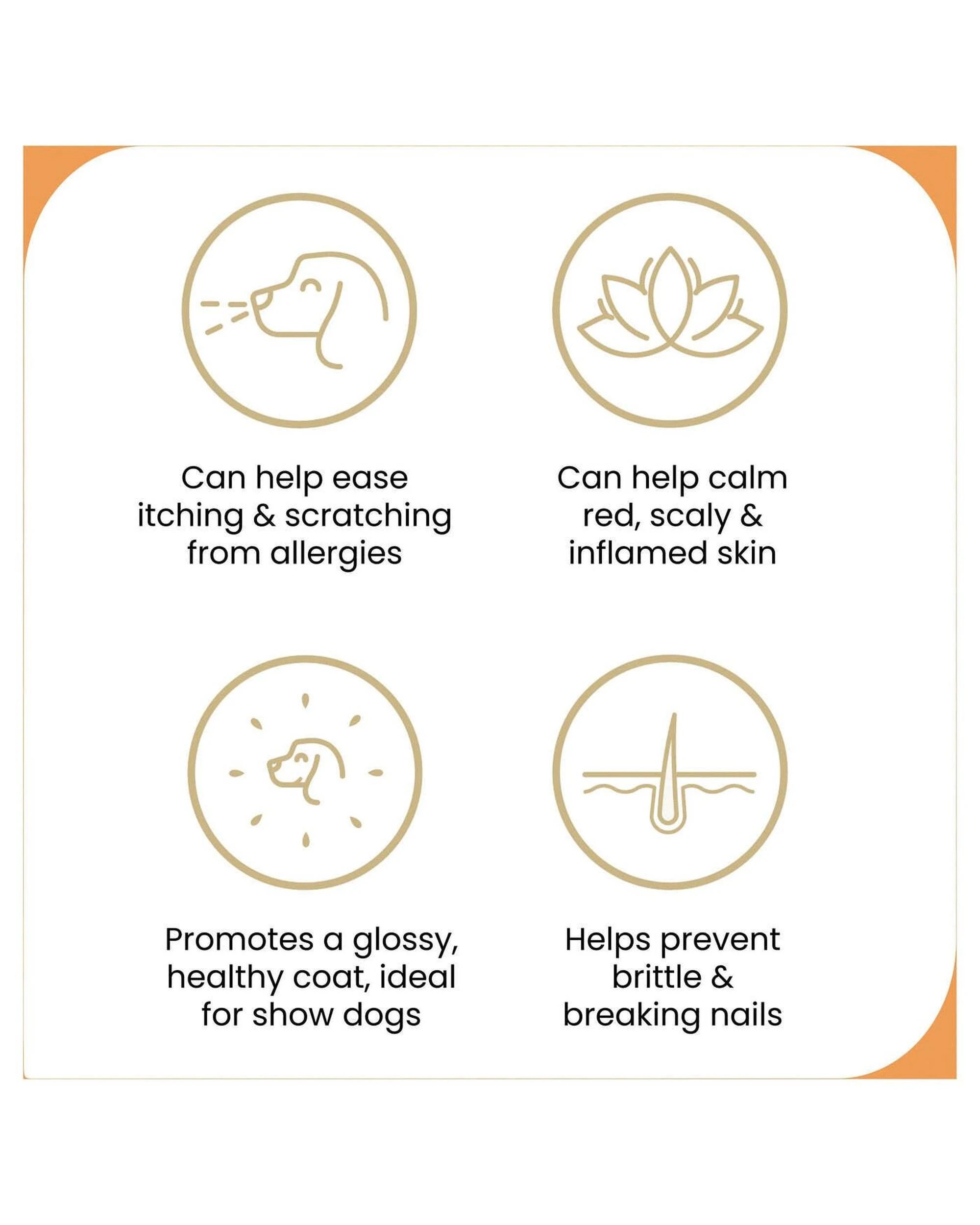 8 Zamipet Allergy & Itch Supplement For Dogs (60 Chews), 8 of 8