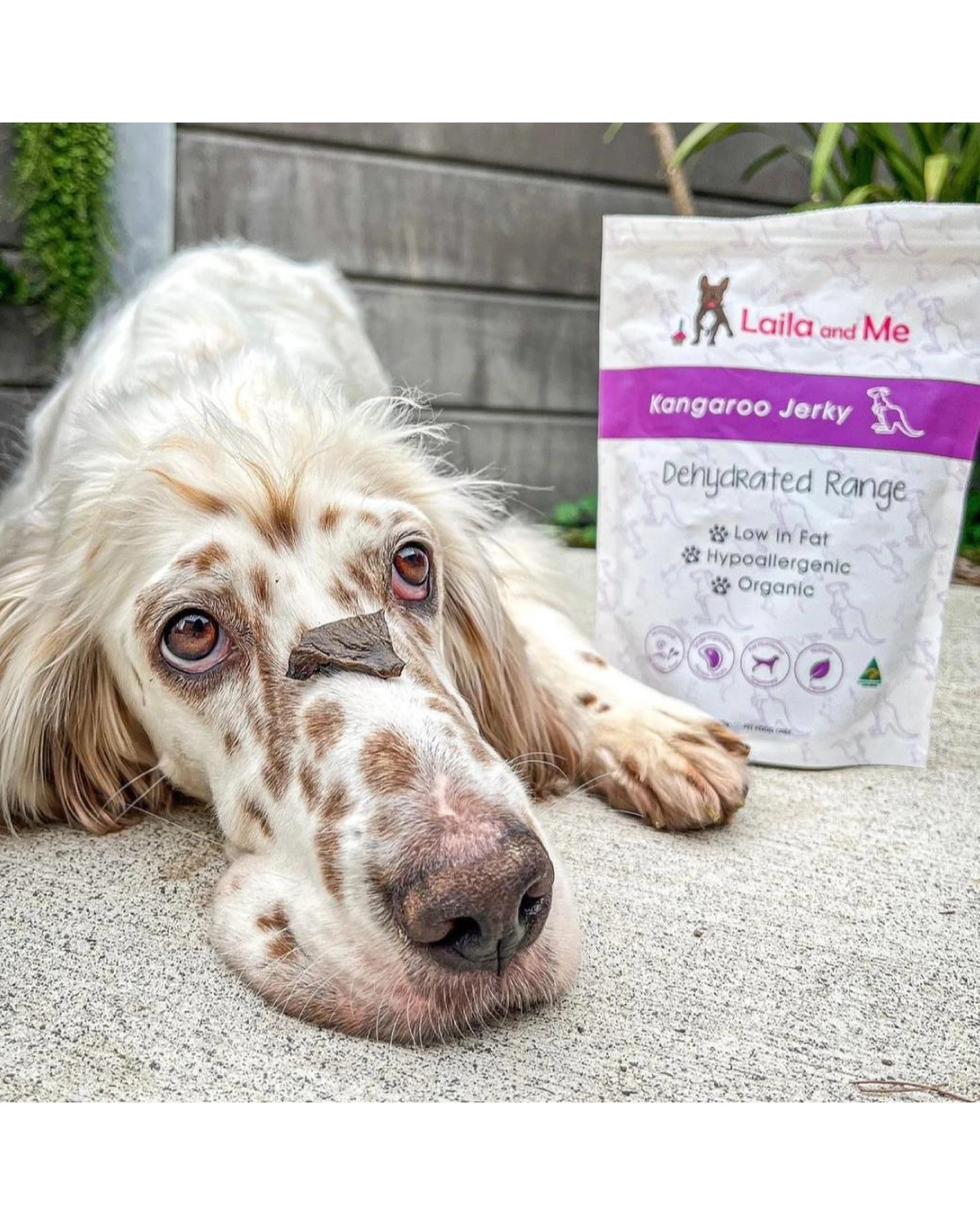 5 Laila & Me Dehydrated Range Kangaroo Jerky Dog Training Treats 80g, 5 of 6