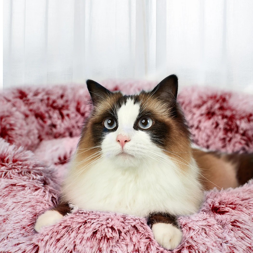 7 Pawz Upgraded 70X70X26Cm Removable Cover Calming Bed In Colour - Pink, 7 of 8
