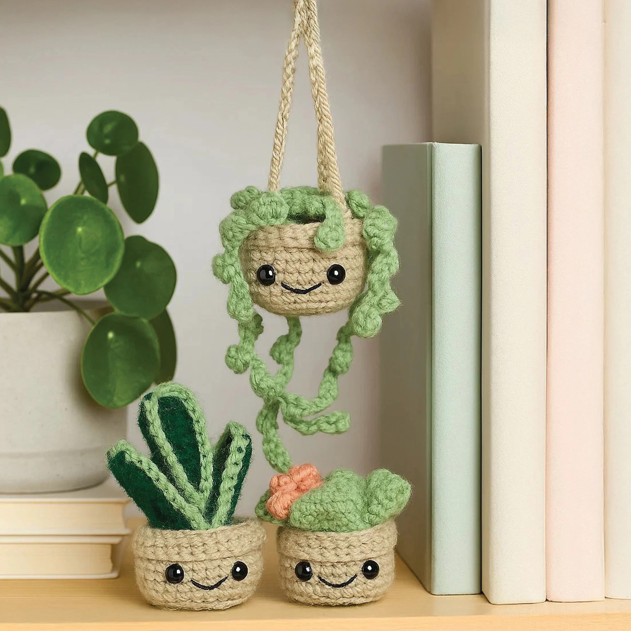 5 Craft Maker Cute Crochet Plants Kit, 5 of 6