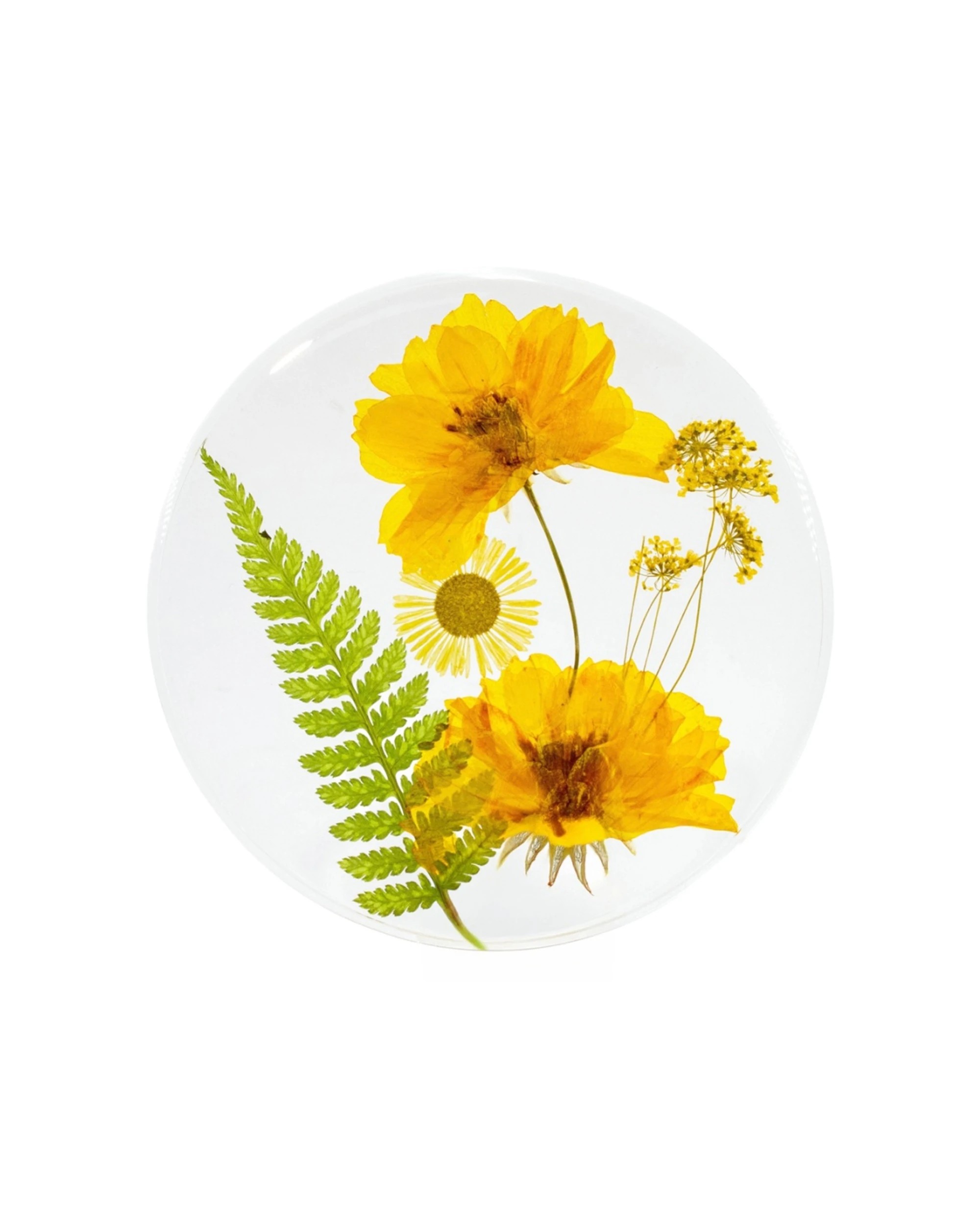 1 Leni Handcrafted Floral Resin Coaster With Real Flowers 10x10x0.6cm - Yellow, 1 of 1