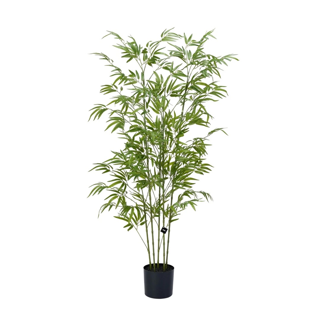 3 Tall Artificial Bambusa Tree, 3 of 3