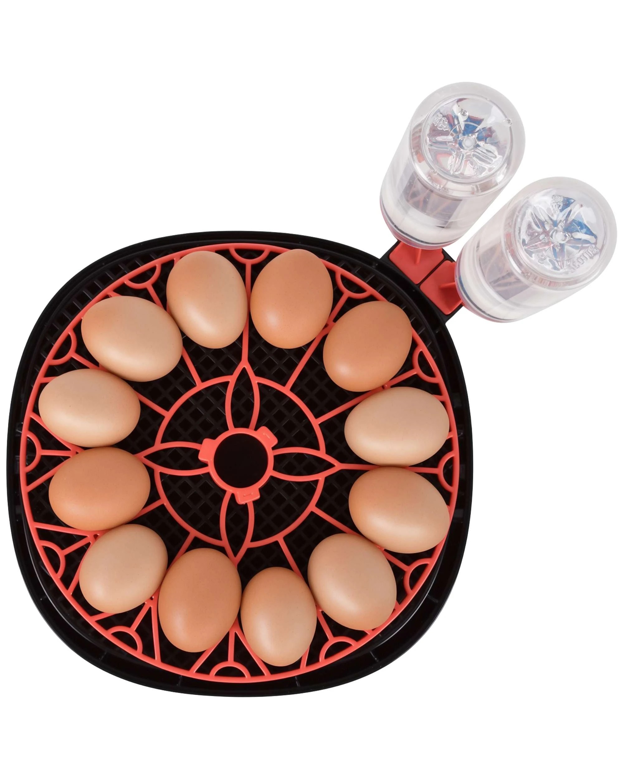 4 Advwin Automatic 12 Eggs Incubator with Egg Candler, 4 of 4