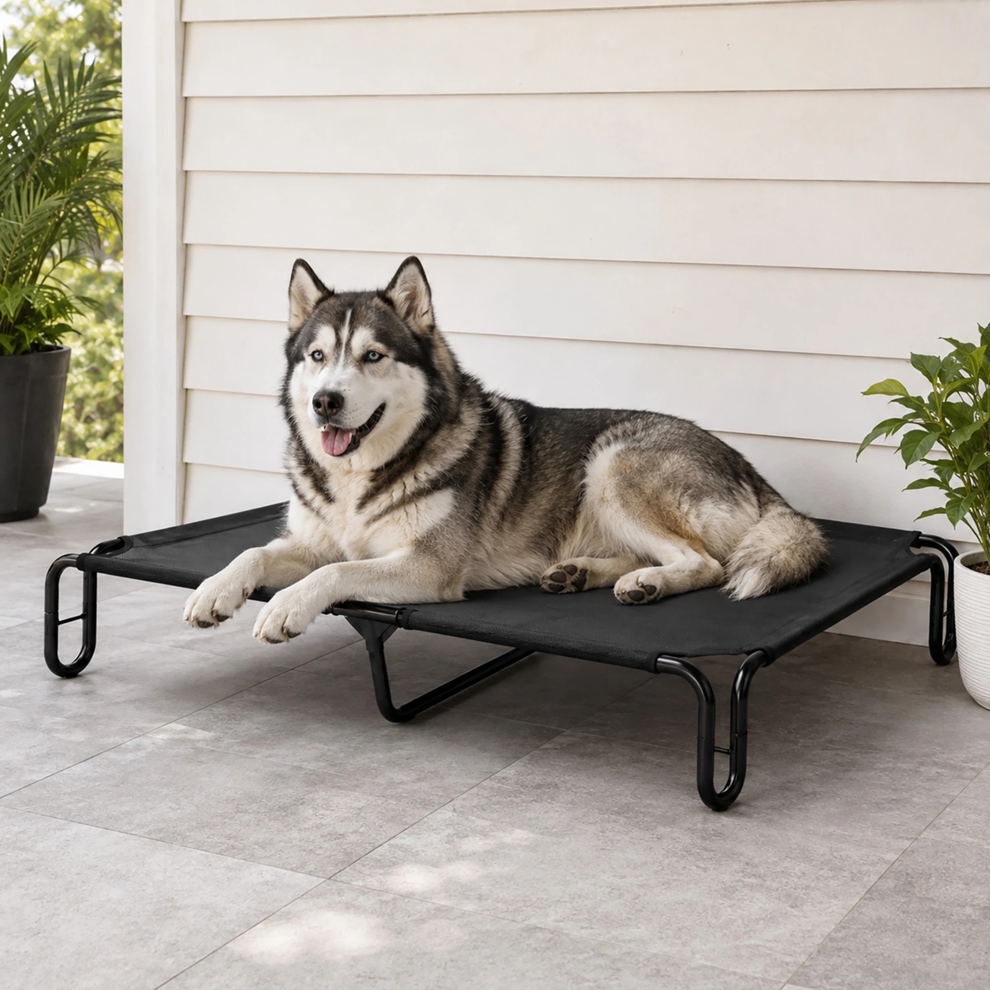 7 Pawz Elevated Dog Bed M Breathable Mesh Cooling for Indoor Outdoor Black, 7 of 8