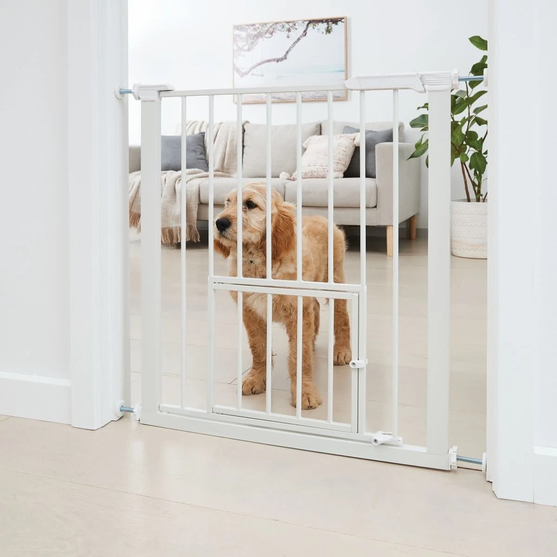 4 Pet Gate with Extension, 4 of 10